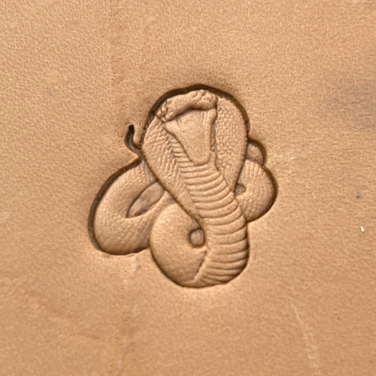Cobra Snake leather stamp LT649 — pattern imprint on veg-tan leather