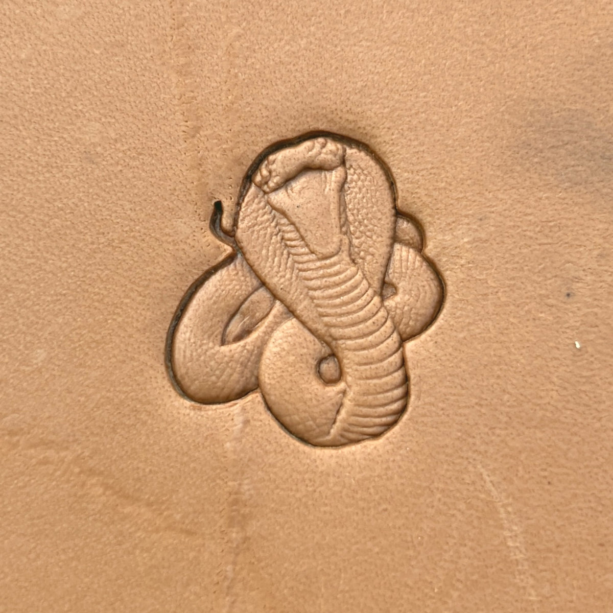Cobra Snake leather stamp LT649 — pattern imprint on veg-tan leather