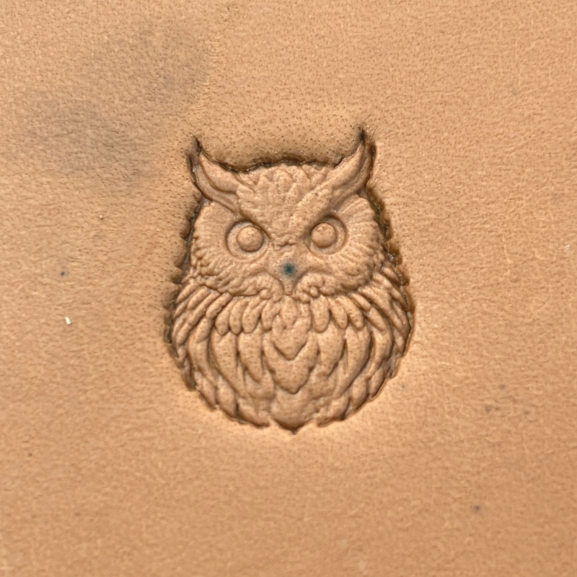 Owl leather stamp LT650 — pattern imprint on veg-tan leather
