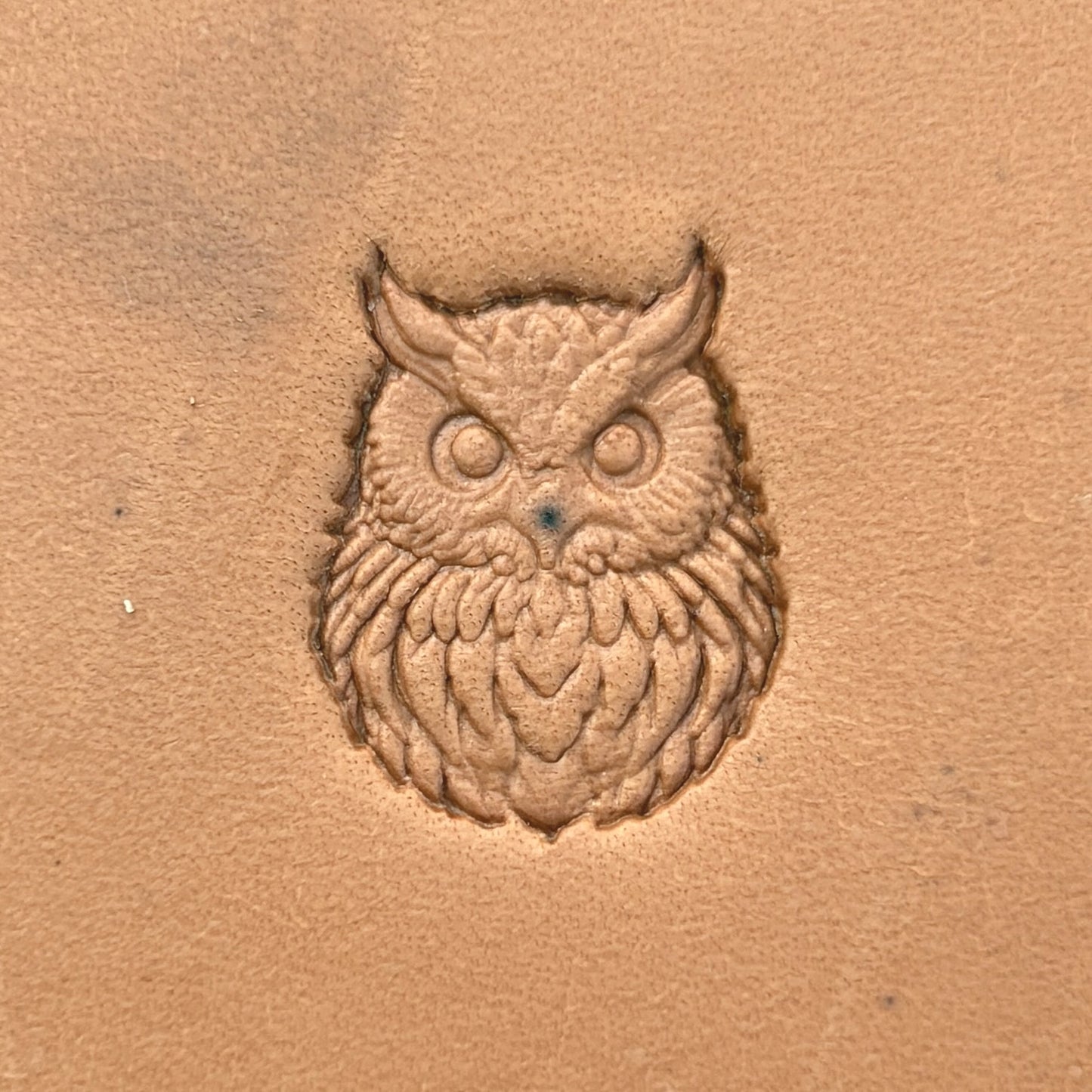 Owl leather stamp LT650 — pattern imprint on veg-tan leather
