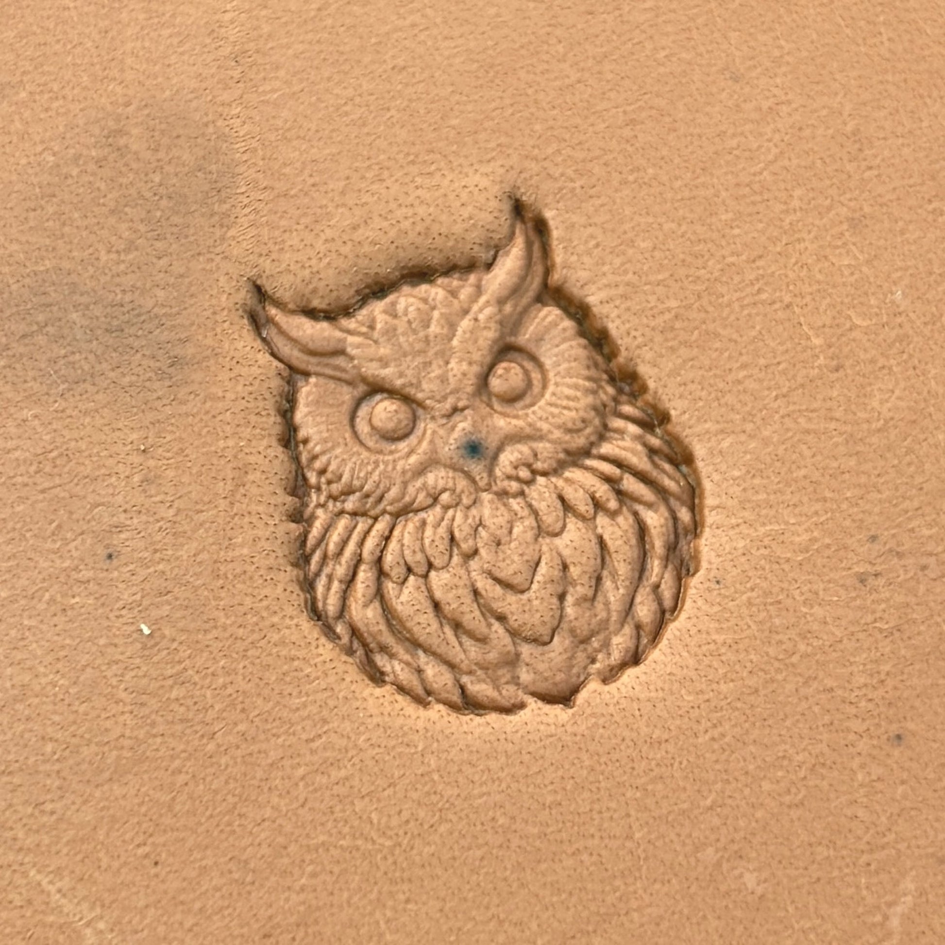 Owl leather stamp LT650 — single impression on veg-tan leather