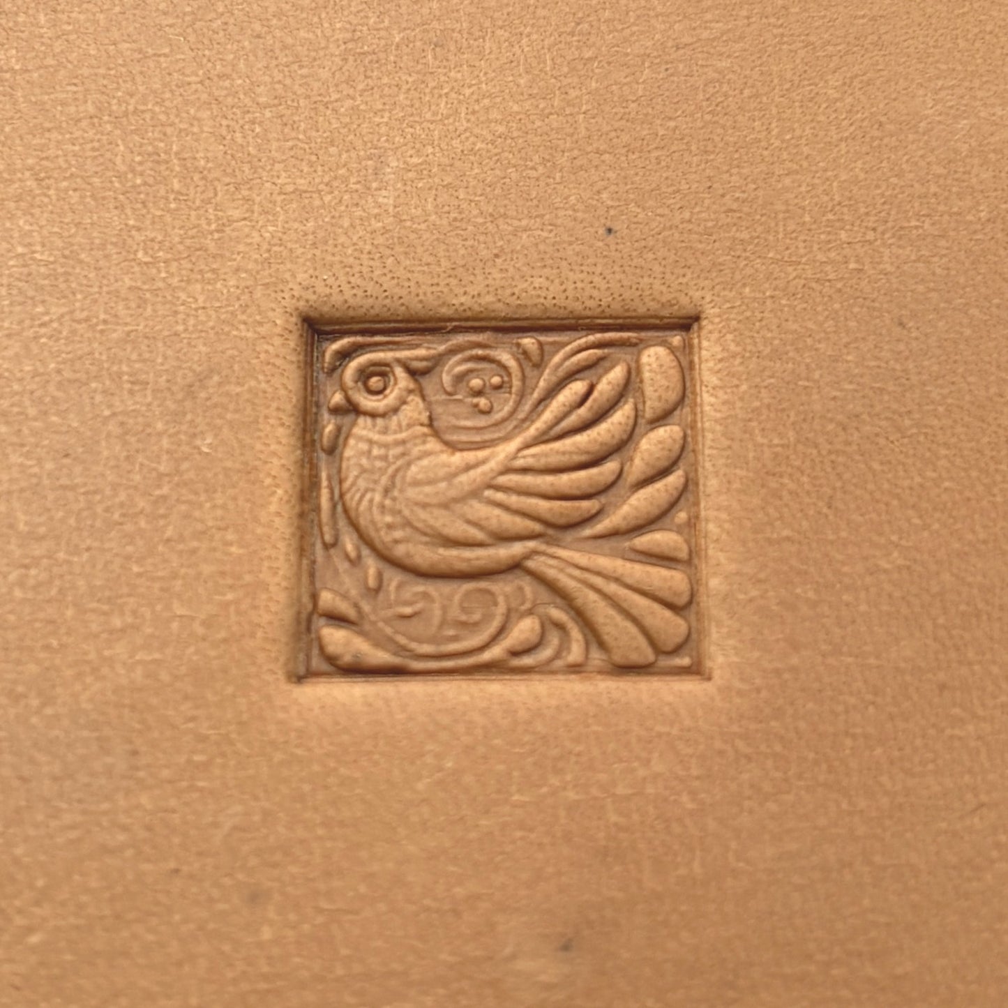Whimsical Bird leather stamp LT652 — pattern imprint on veg-tan leather