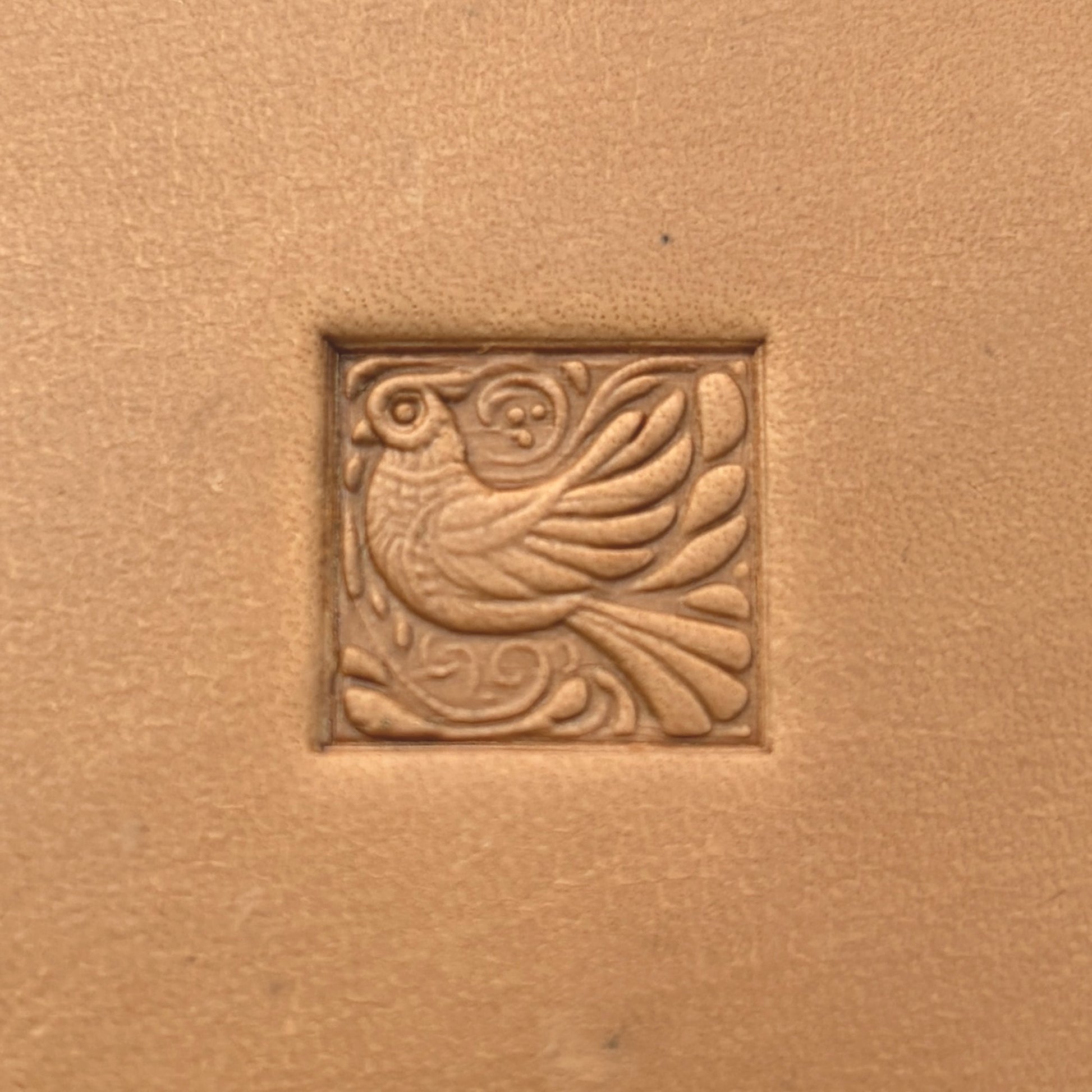 Whimsical Bird leather stamp LT652 — pattern imprint on veg-tan leather