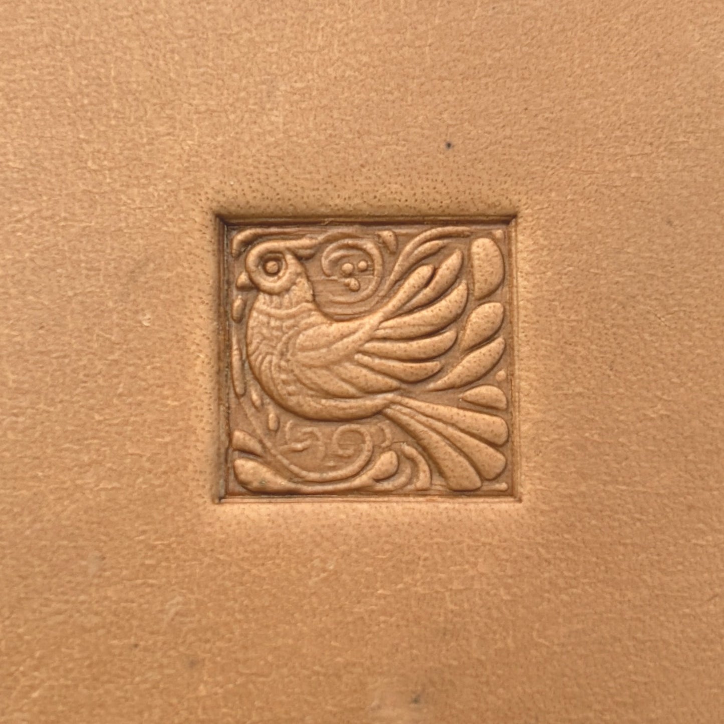 Whimsical Bird leather stamp LT652 — single impression on veg-tan leather