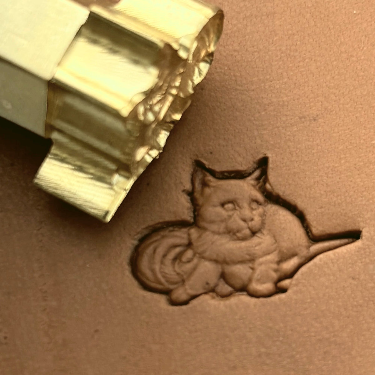Cat leather stamp LT654 — brass stamping tool with imprint on natural veg-tan leather