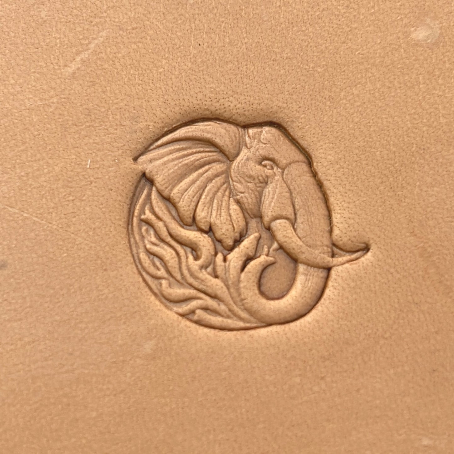 Head Elephant leather stamp LT656 — pattern imprint on veg-tan leather