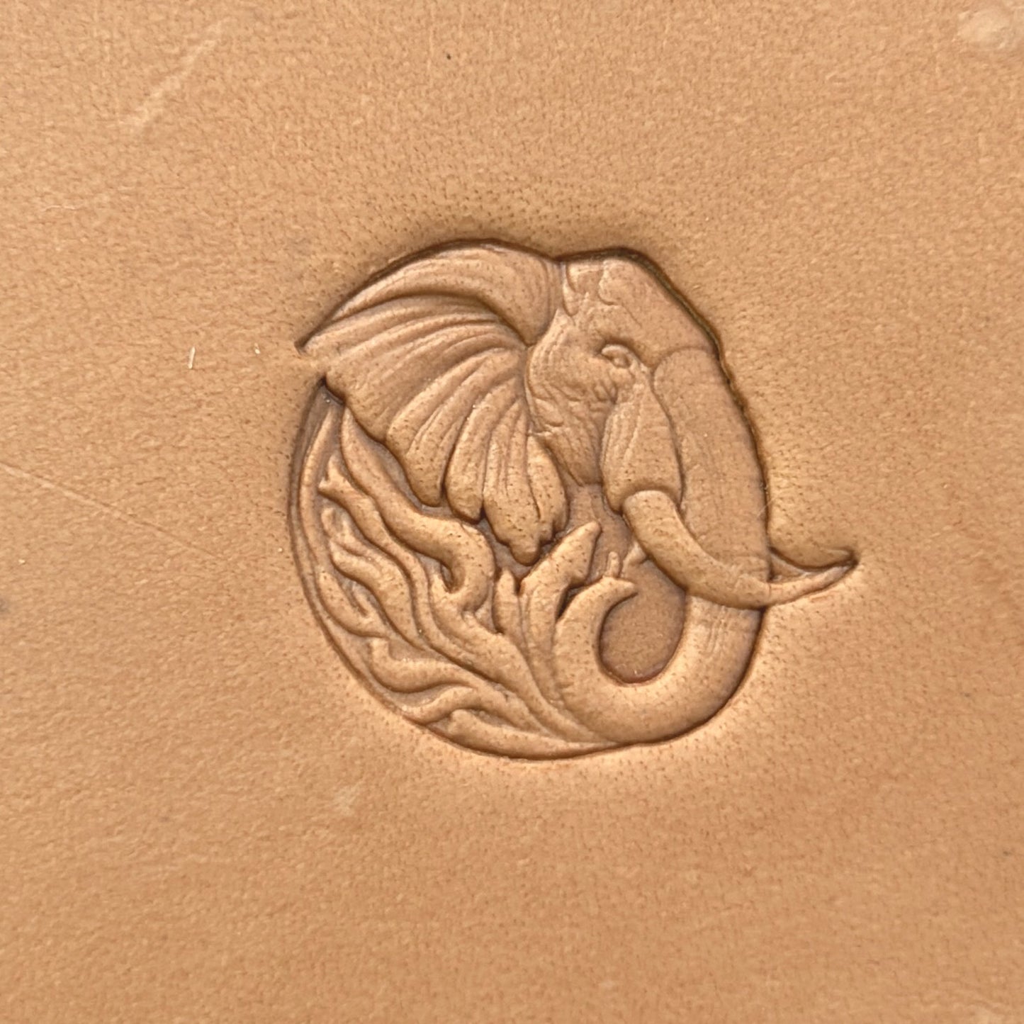 Head Elephant leather stamp LT656 — pattern imprint on veg-tan leather
