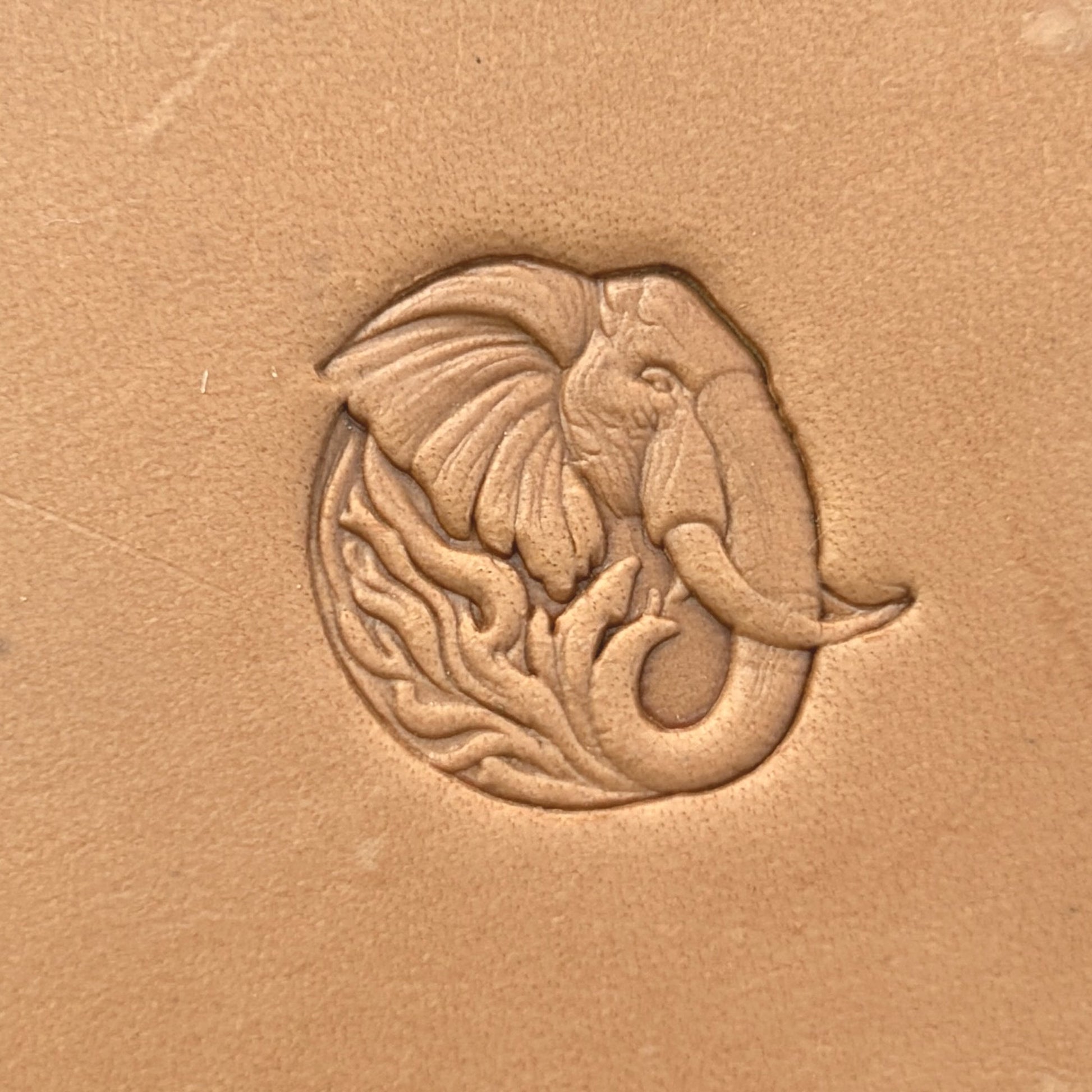 Head Elephant leather stamp LT656 — pattern imprint on veg-tan leather
