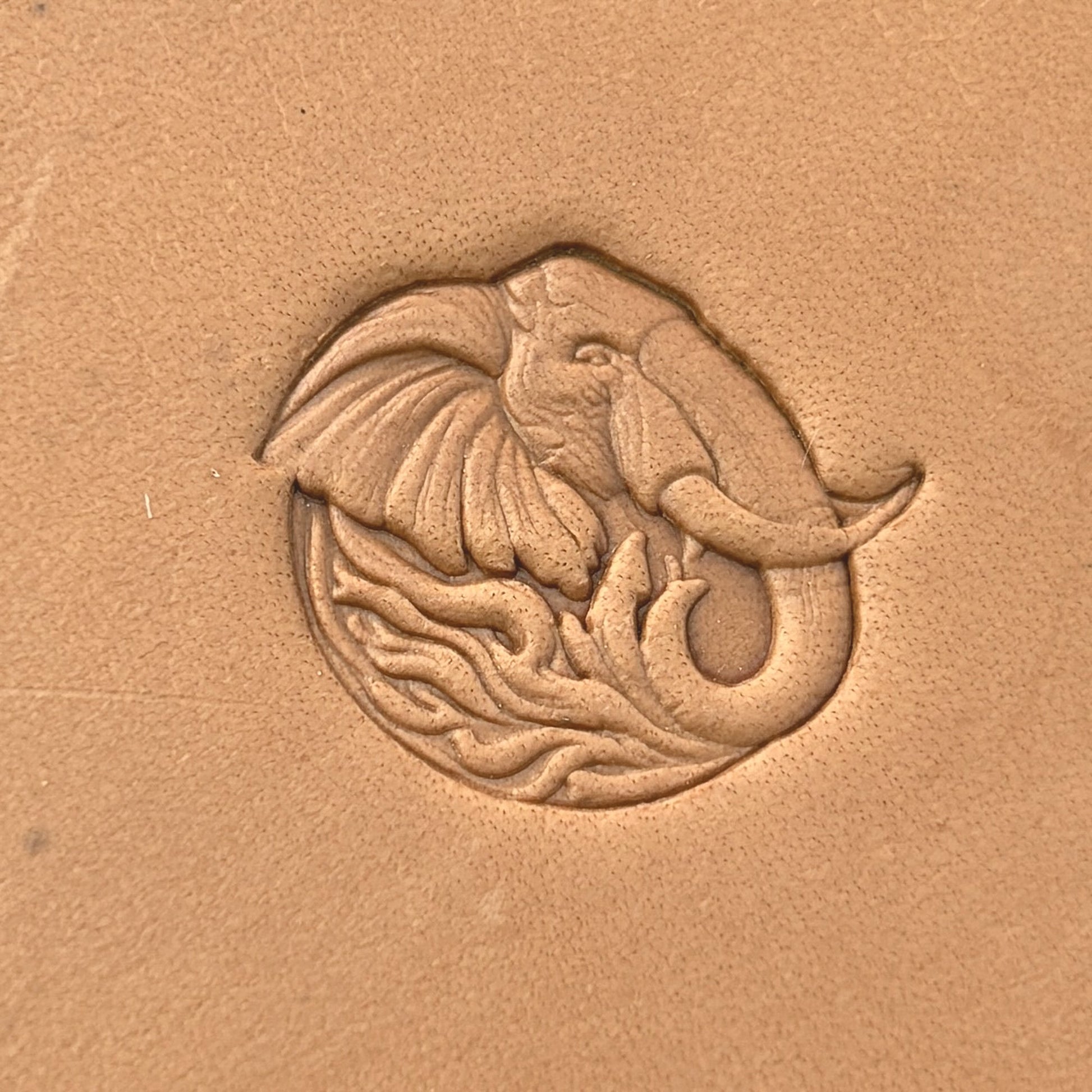 Head Elephant leather stamp LT656 — single impression on veg-tan leather