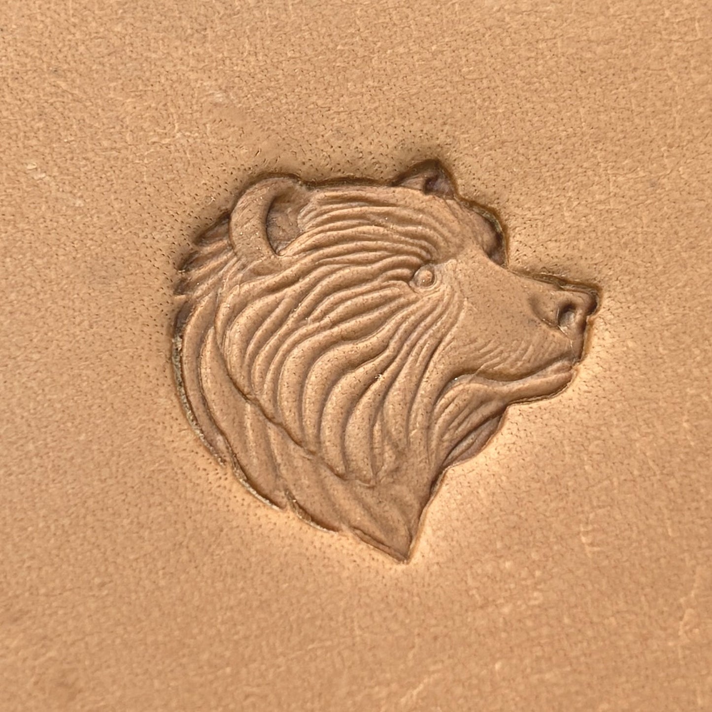 Head Bear leather stamp LT657 — pattern imprint on veg-tan leather
