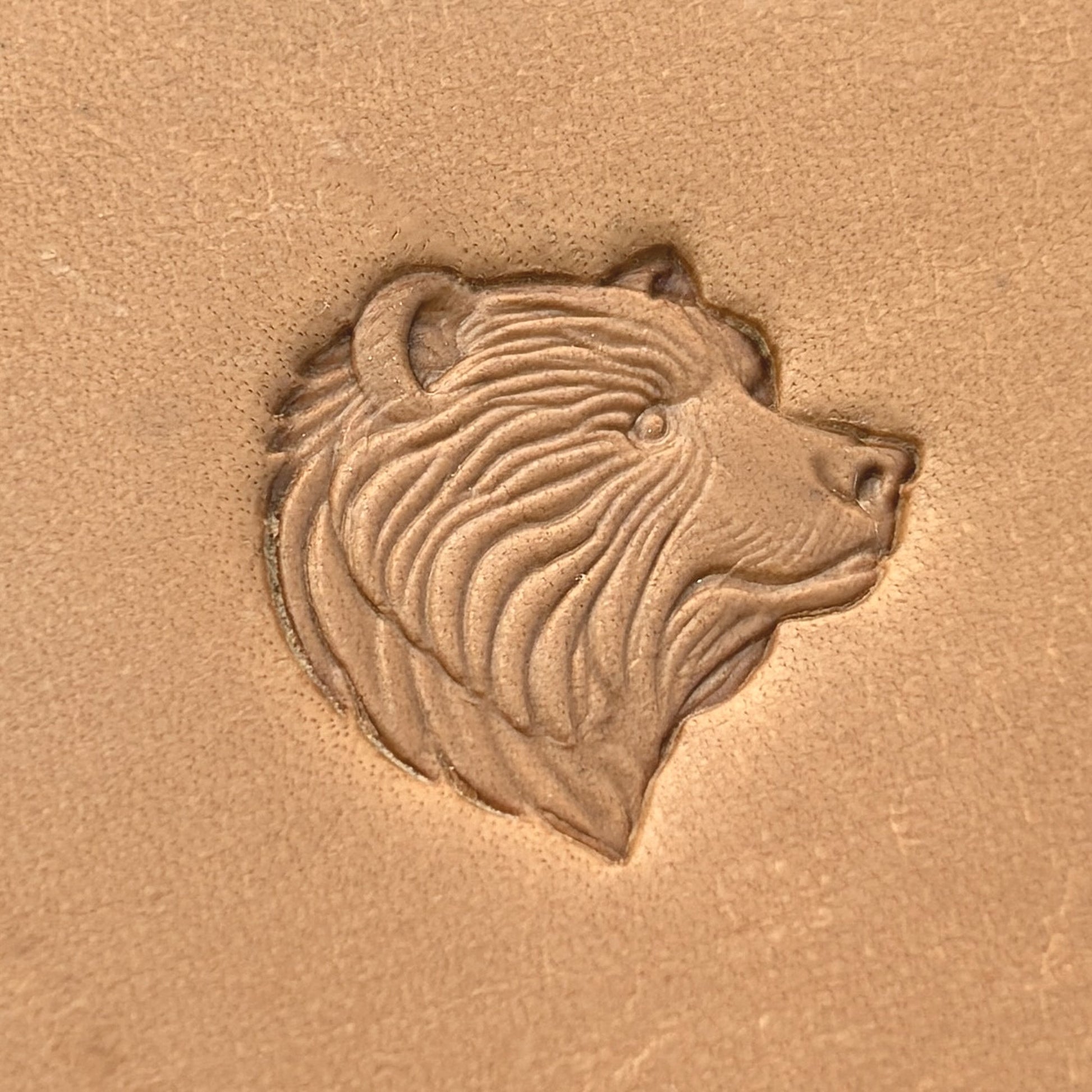 Head Bear leather stamp LT657 — pattern imprint on veg-tan leather