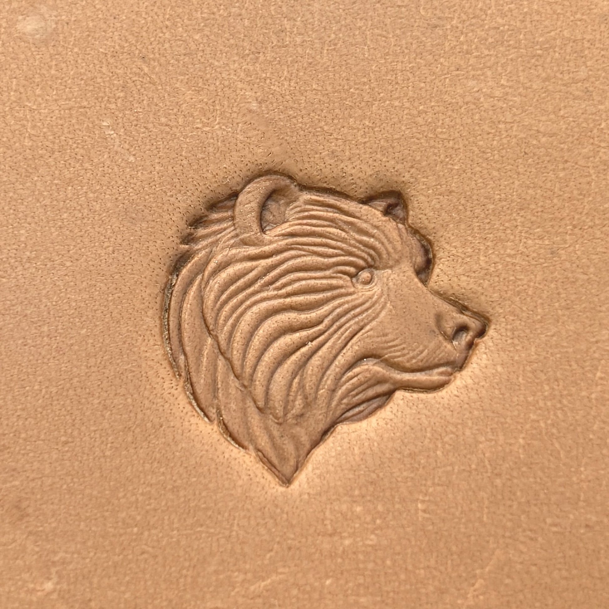 Head Bear leather stamp LT657 — pattern imprint on veg-tan leather