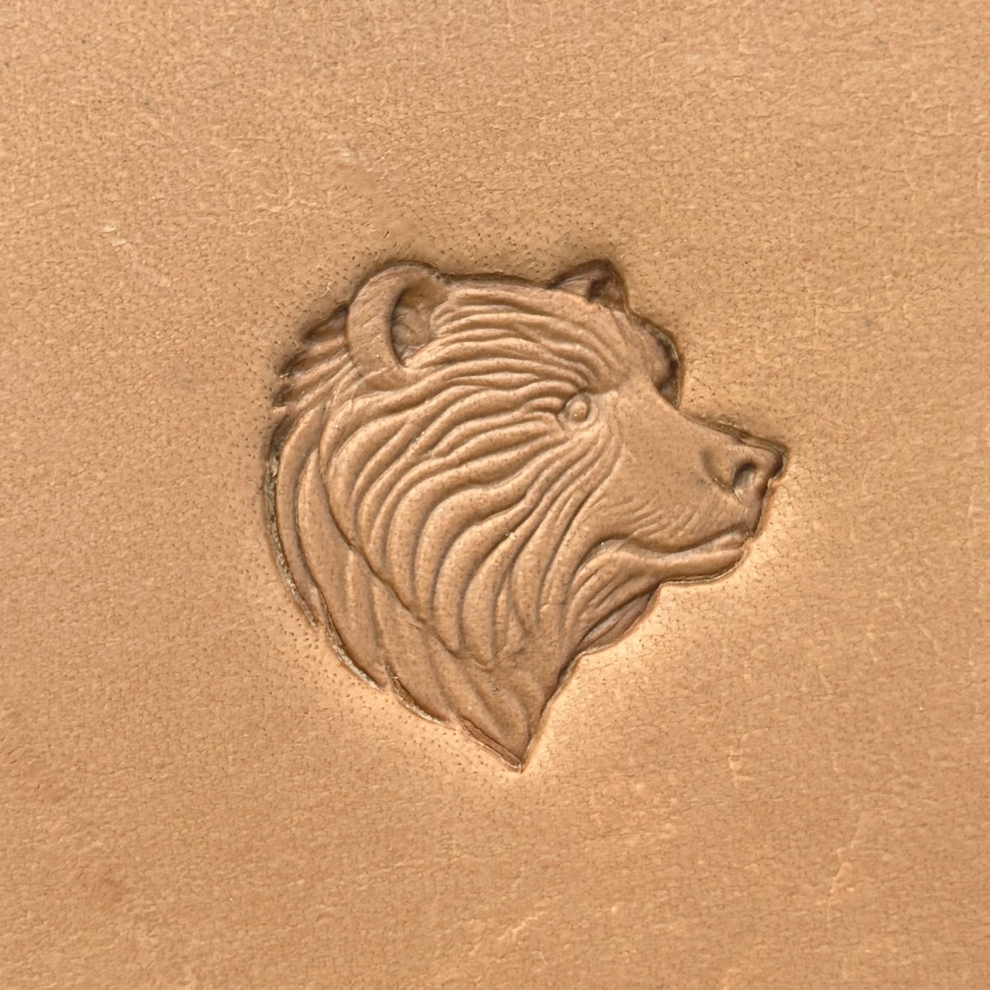 Head Bear leather stamp LT657 — single impression on veg-tan leather