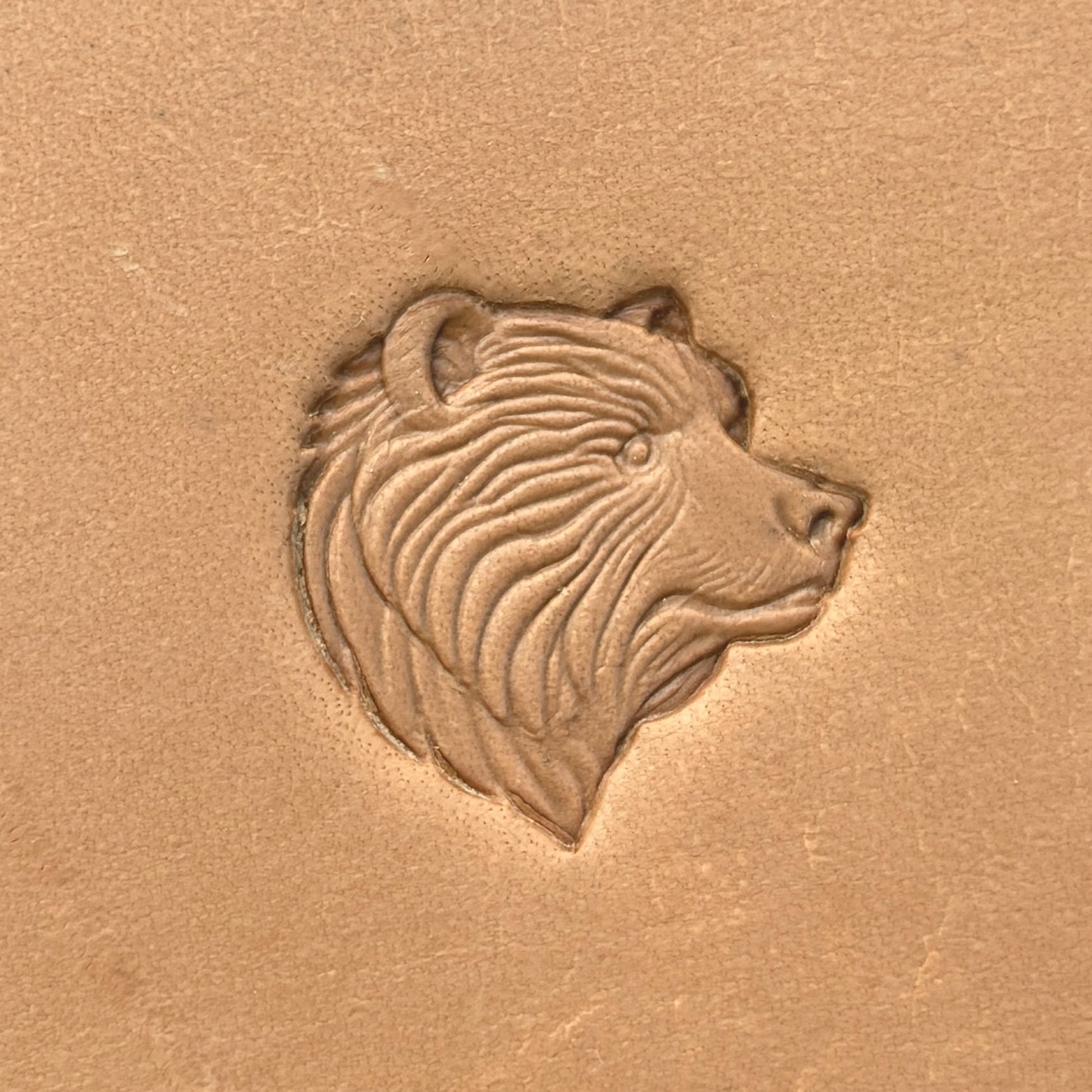 Head Bear leather stamp LT657 — single impression on veg-tan leather
