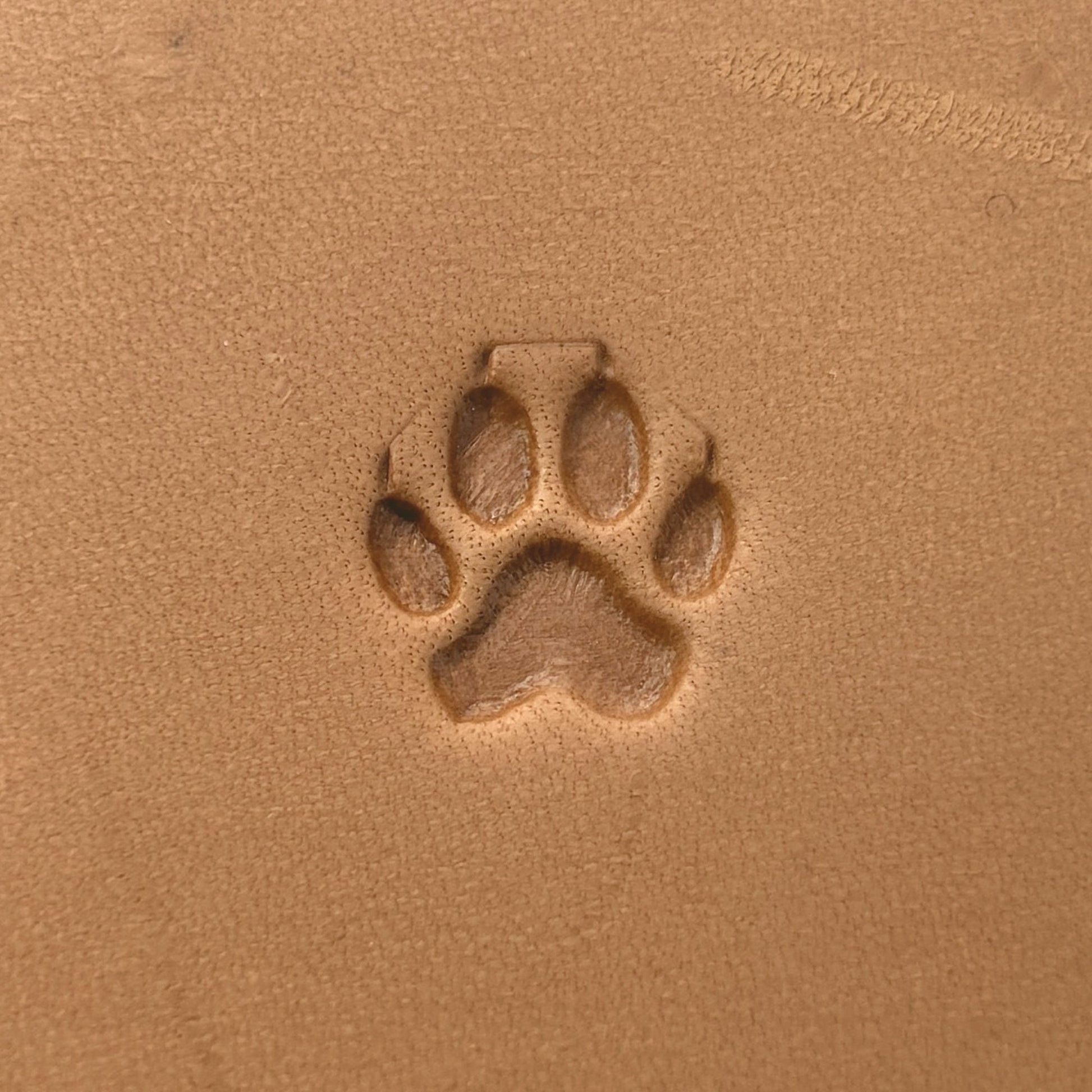 Paw Print Dog leather stamp LT659 — pattern imprint on veg-tan leather