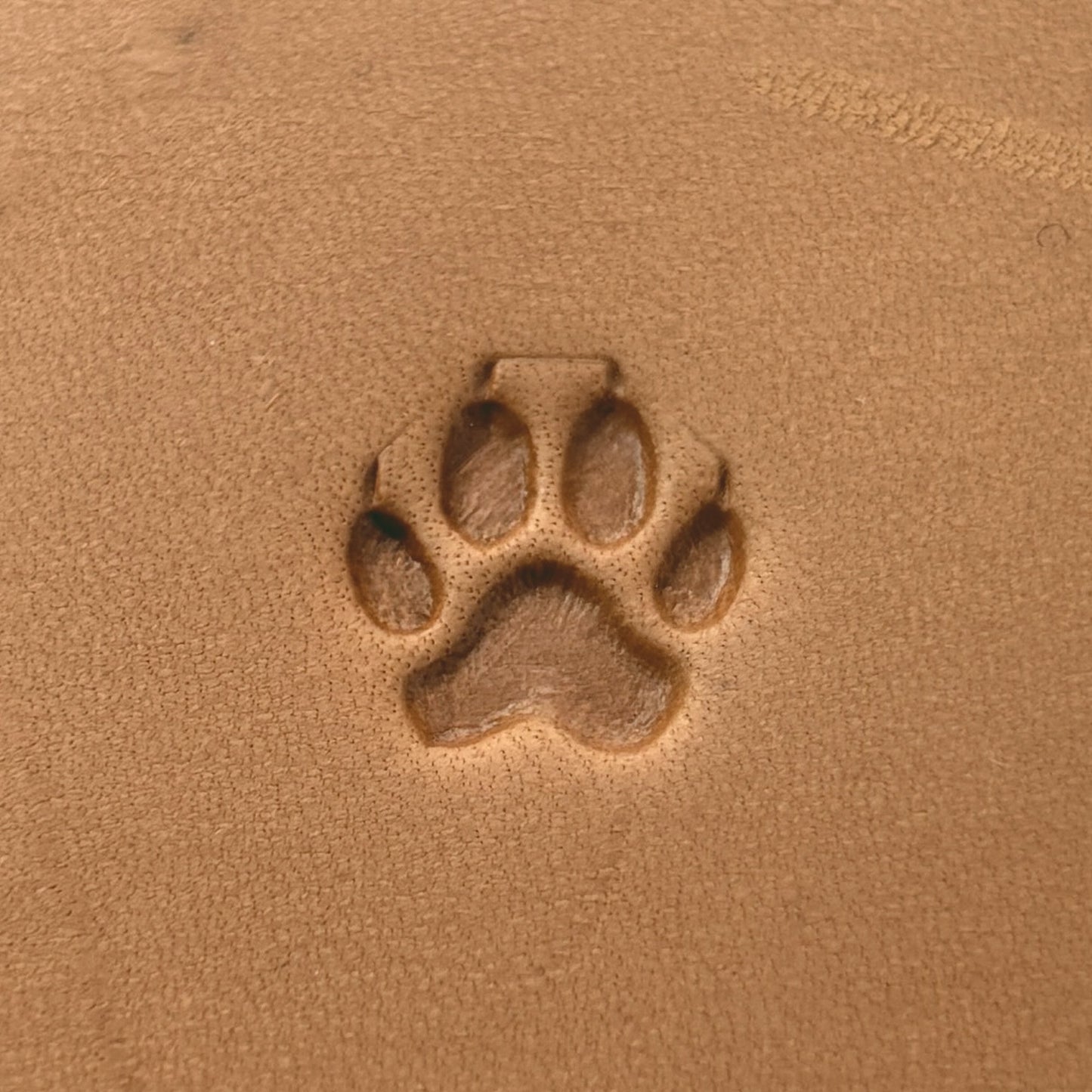 Paw Print Dog leather stamp LT659 — pattern imprint on veg-tan leather