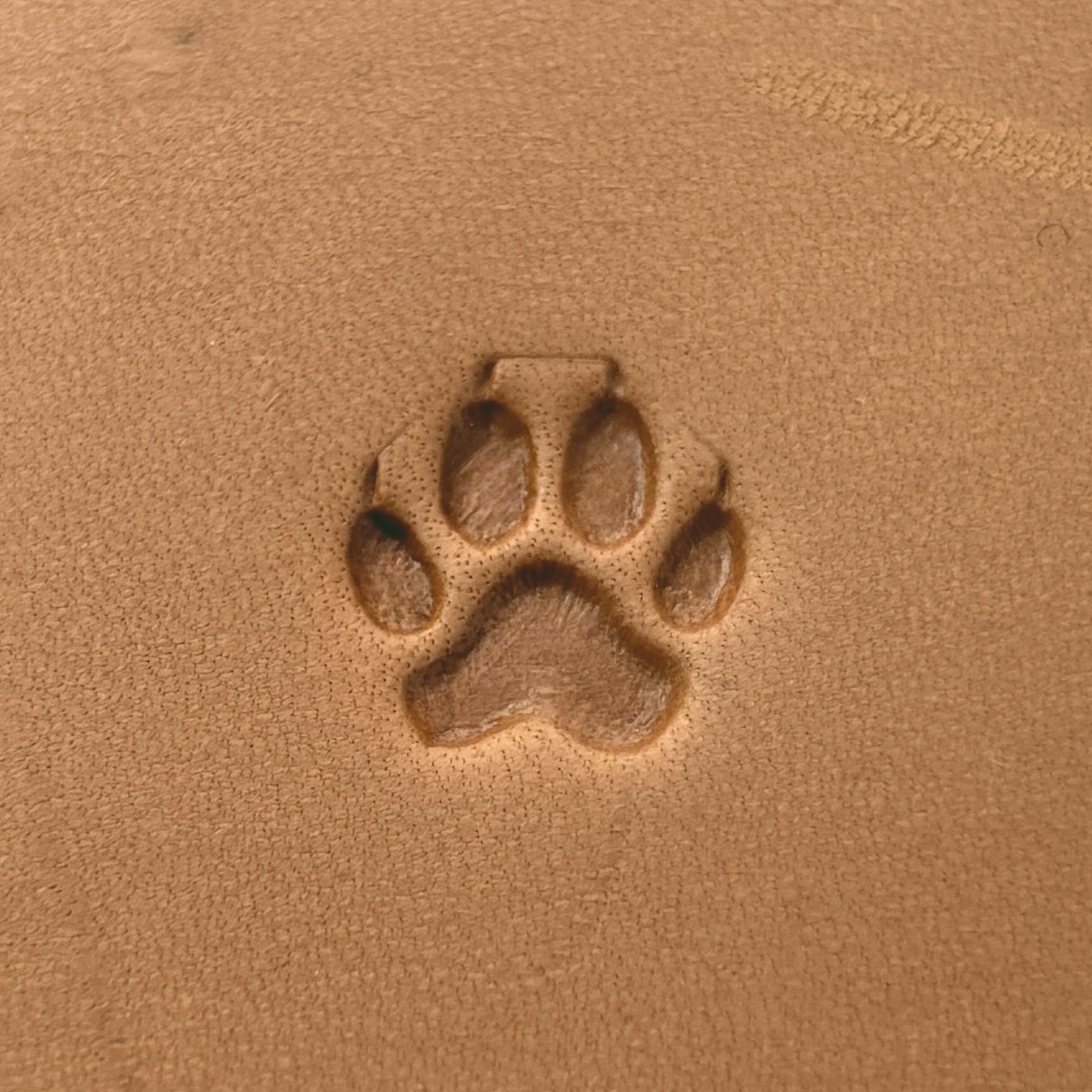 Paw Print Dog leather stamp LT659 — pattern imprint on veg-tan leather