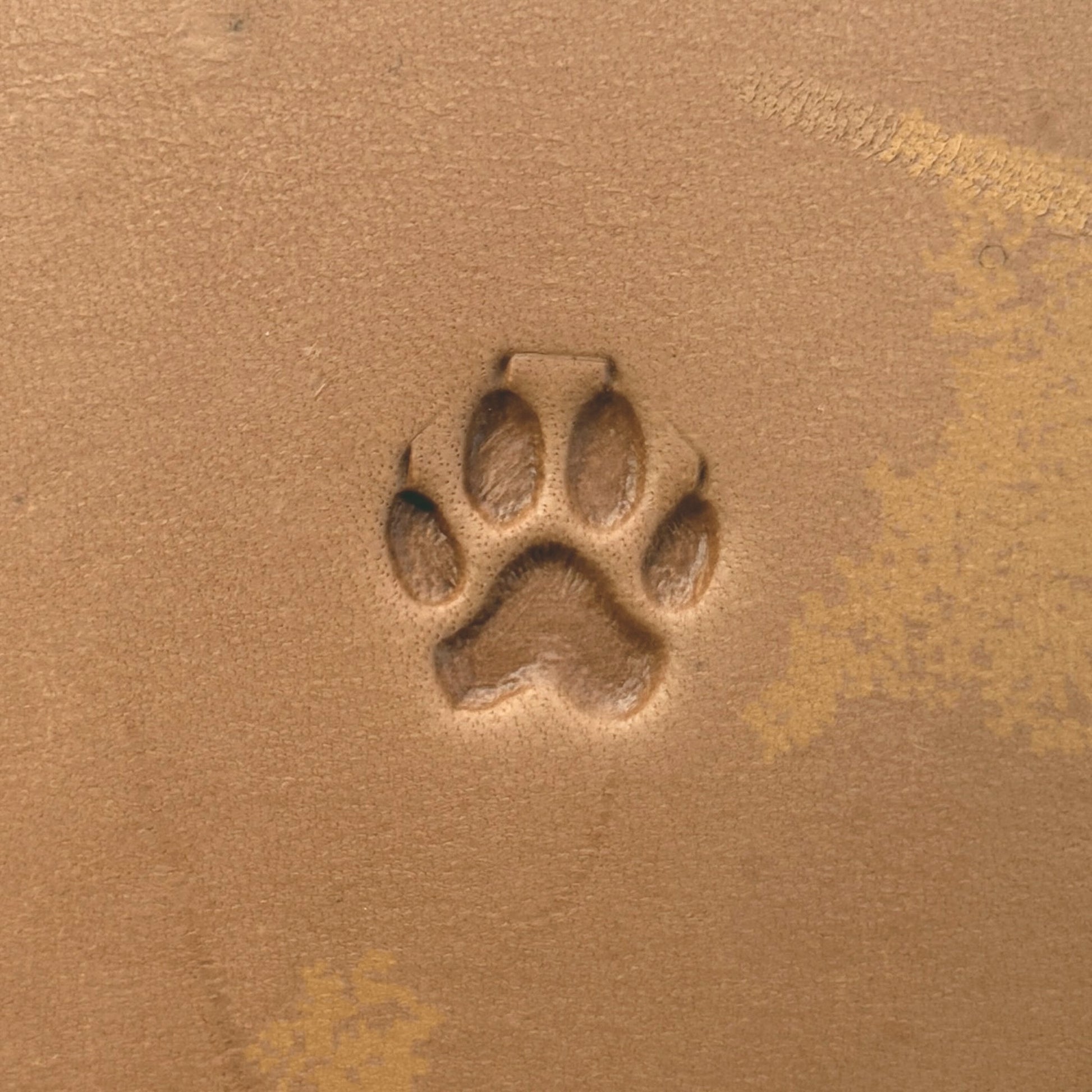 Paw Print Dog leather stamp LT659 — single impression on veg-tan leather