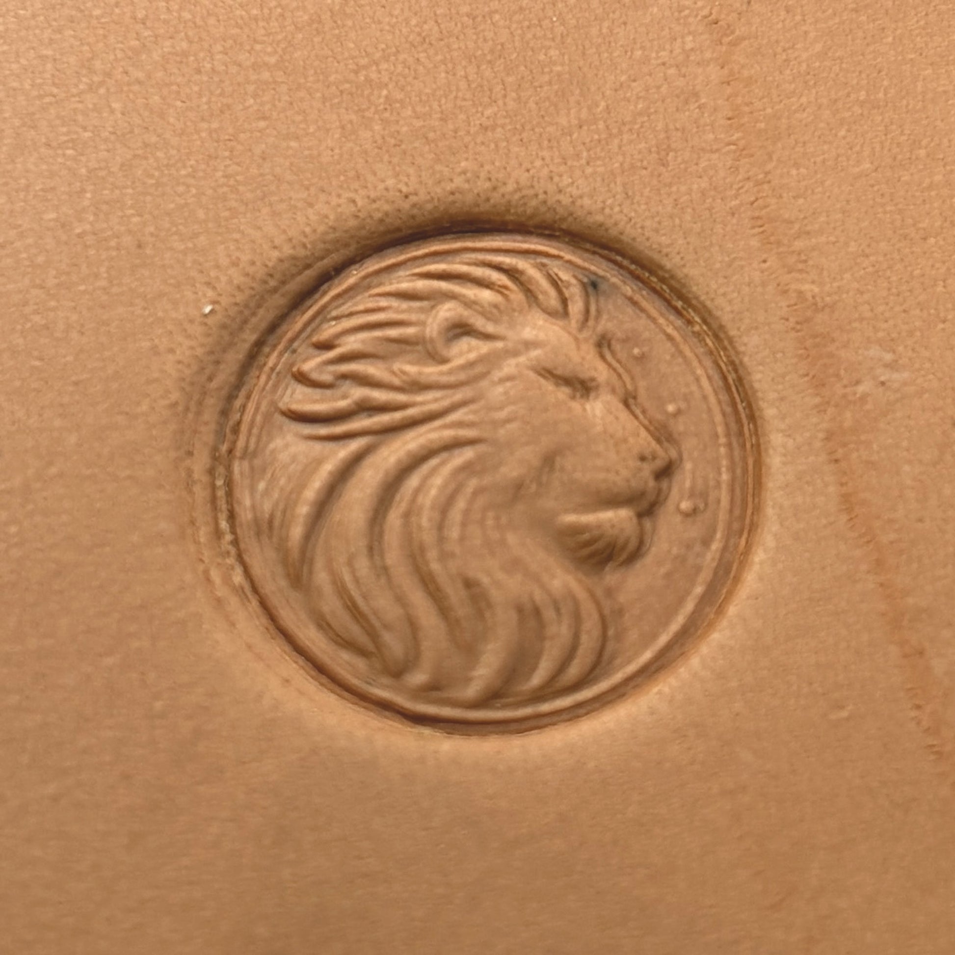 Regal Mane Lion leather stamp LT661 — pattern imprint on veg-tan leather