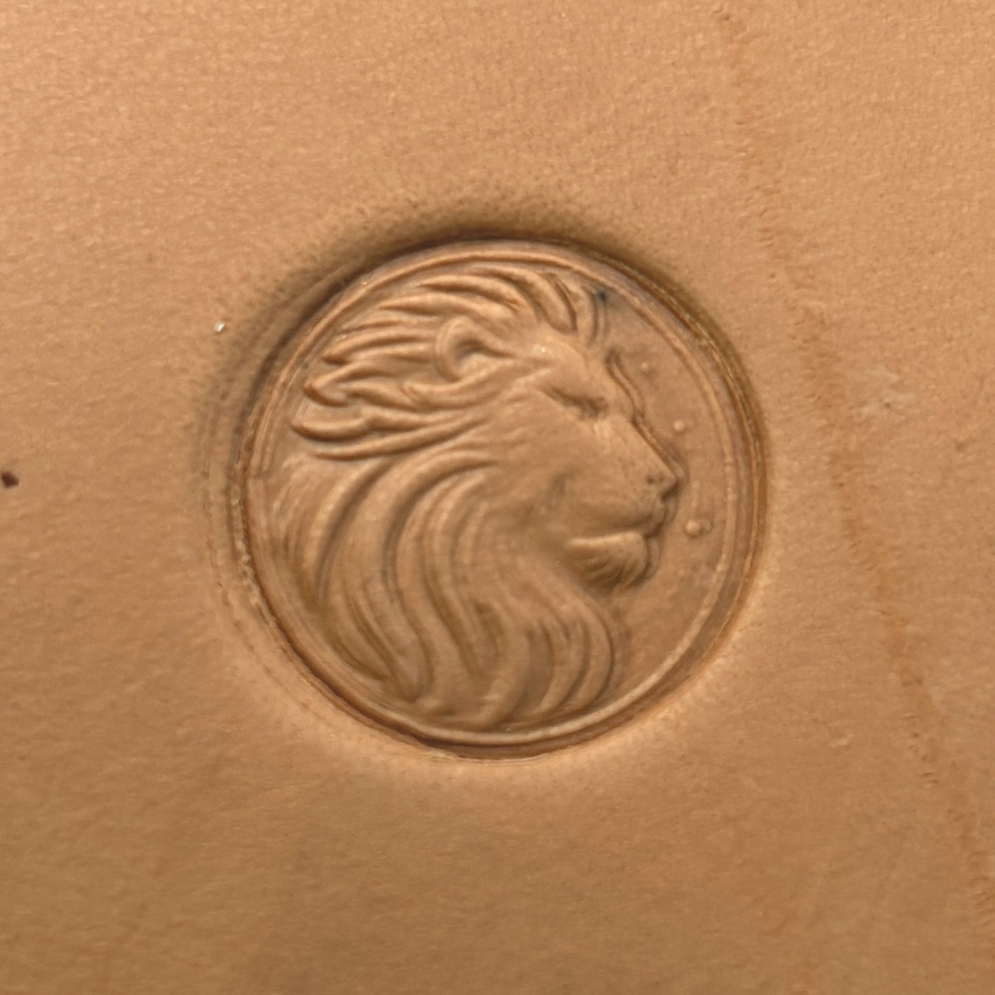 Regal Mane Lion leather stamp LT661 — single impression on veg-tan leather