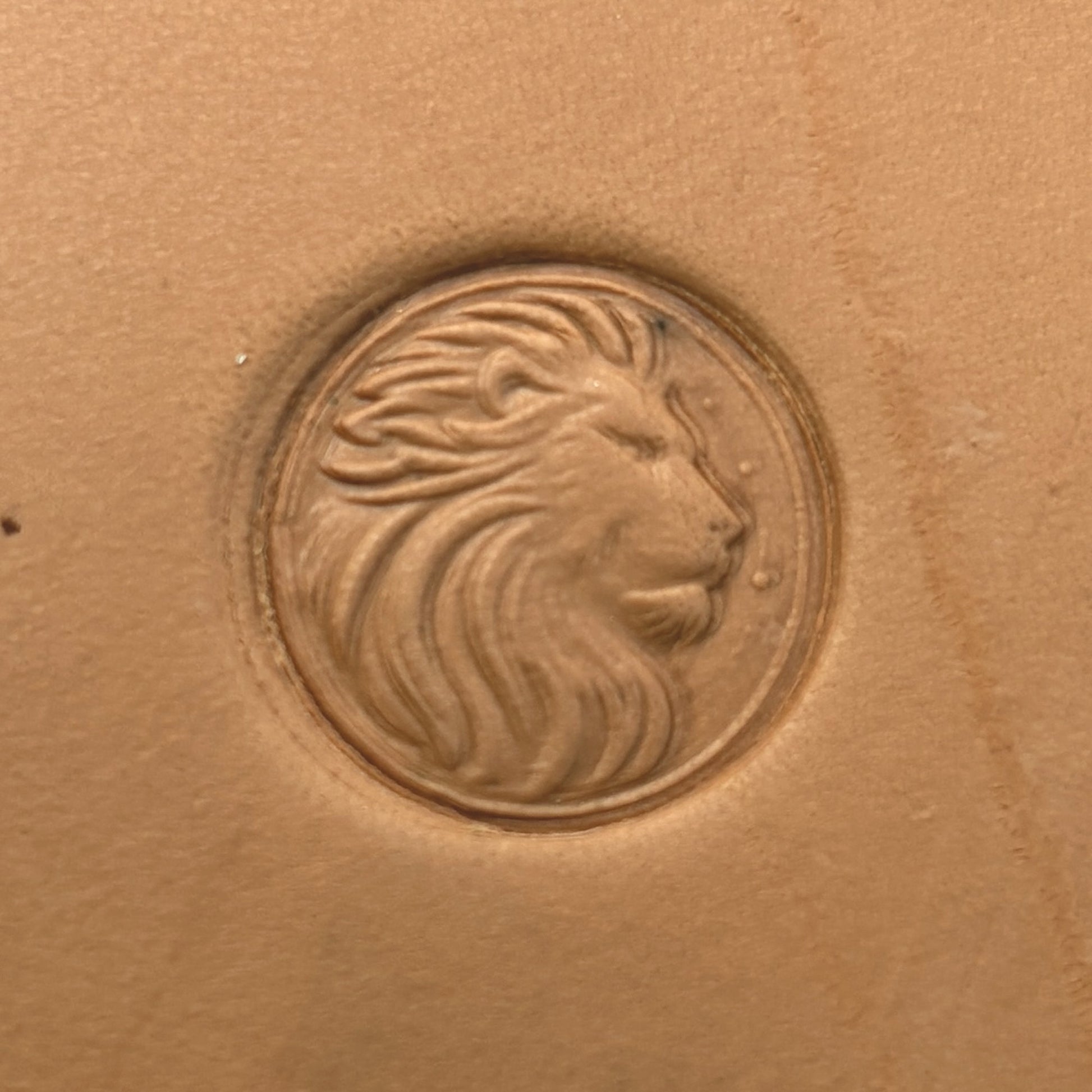 Regal Mane Lion leather stamp LT661 — single impression on veg-tan leather