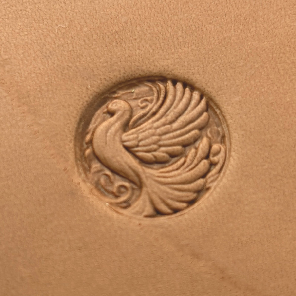 Elegant Bird Peacock leather stamp LT663 — pattern imprint on veg-tan leather