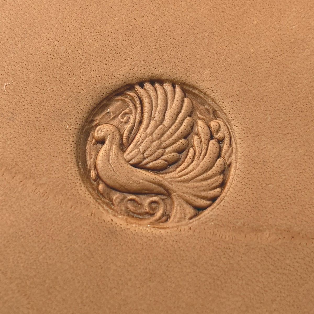 Elegant Bird Peacock leather stamp LT663 — pattern imprint on veg-tan leather