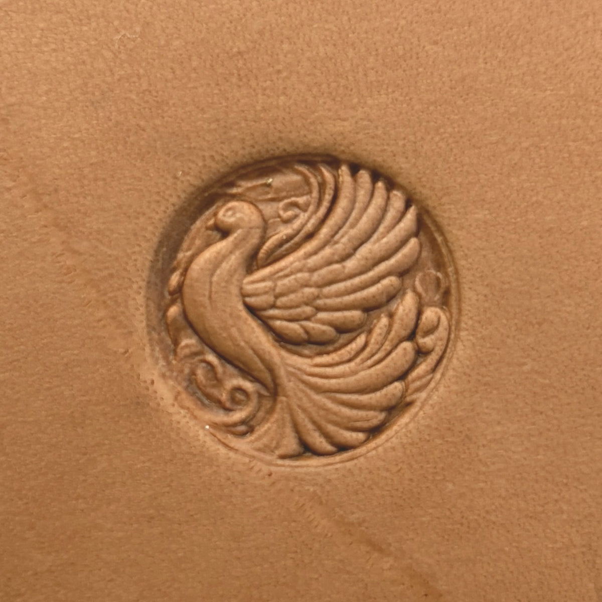 Elegant Bird Peacock leather stamp LT663 — single impression on veg-tan leather