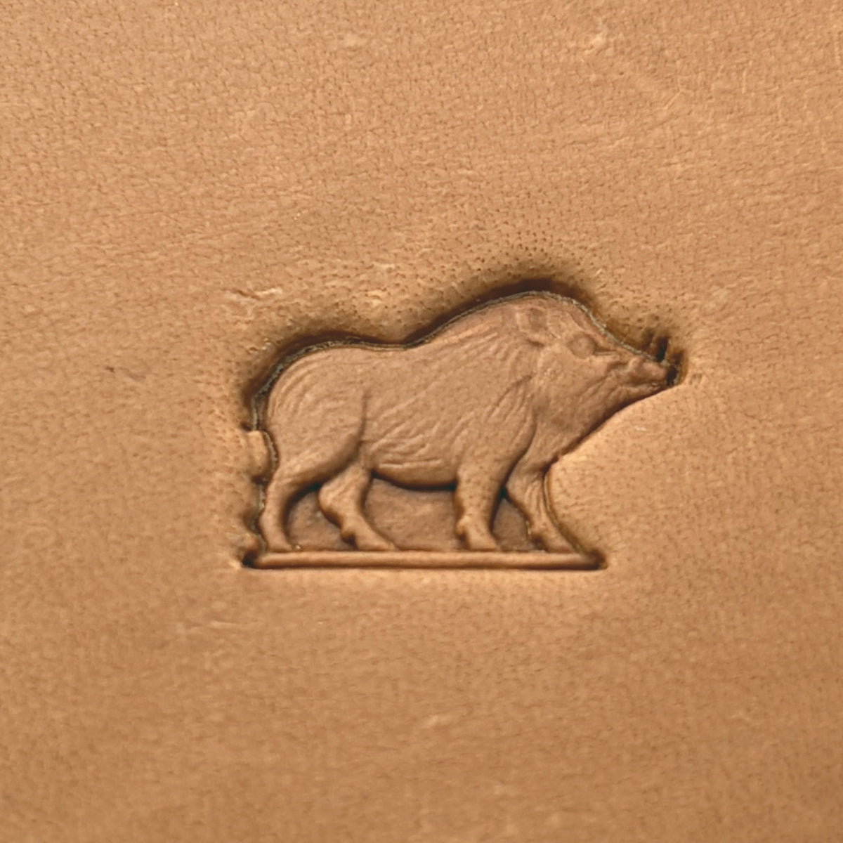 Wild Boar leather stamp LT664 — pattern imprint on veg-tan leather