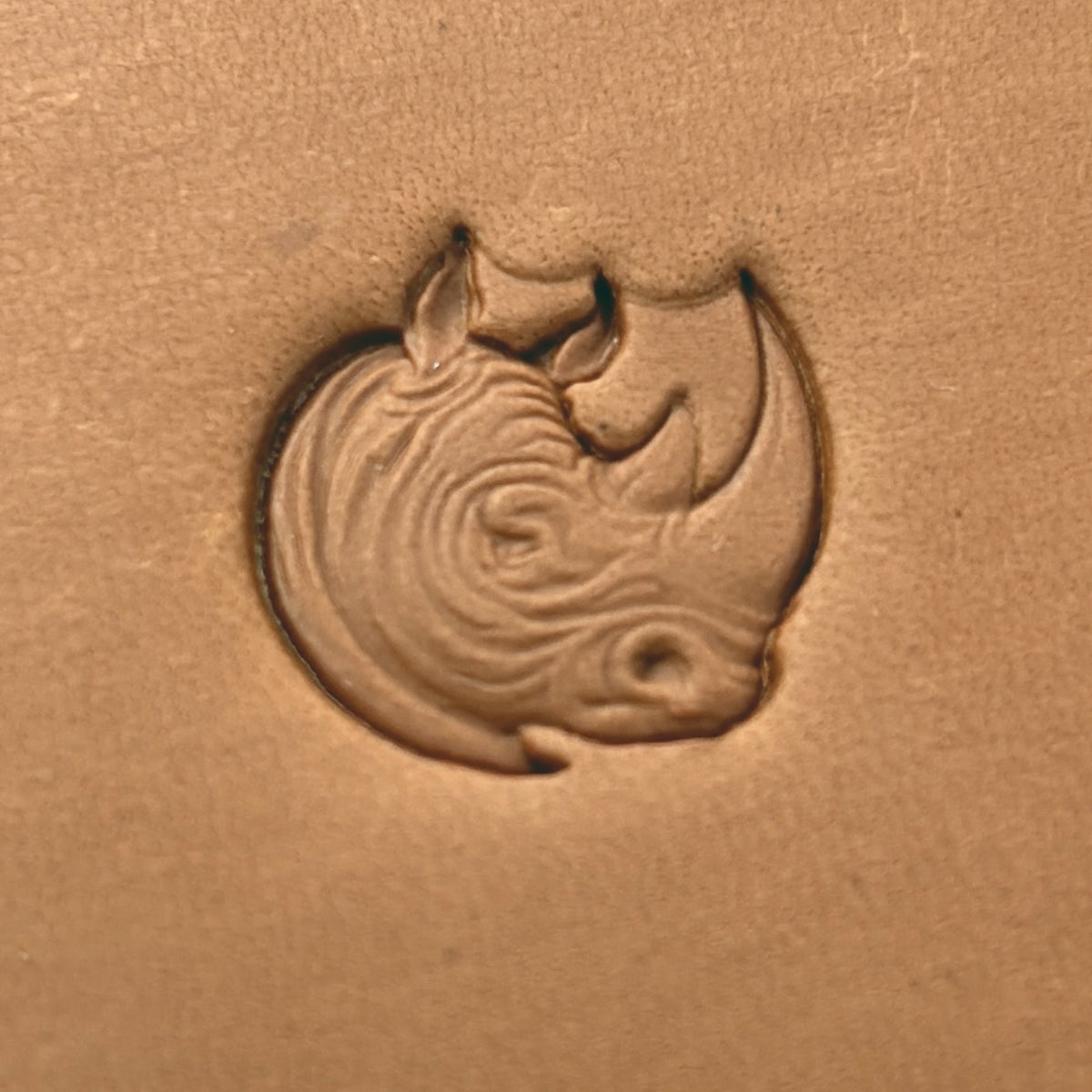 Rhino Head Animal leather stamp LT665 — pattern imprint on veg-tan leather