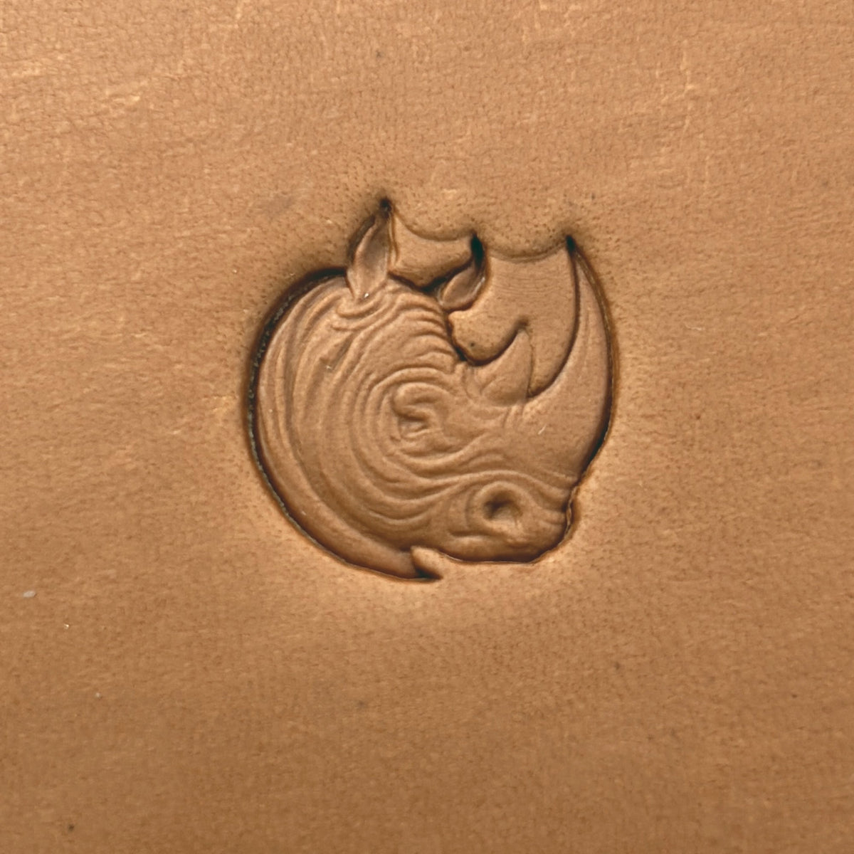 Rhino Head Animal leather stamp LT665 — single impression on veg-tan leather