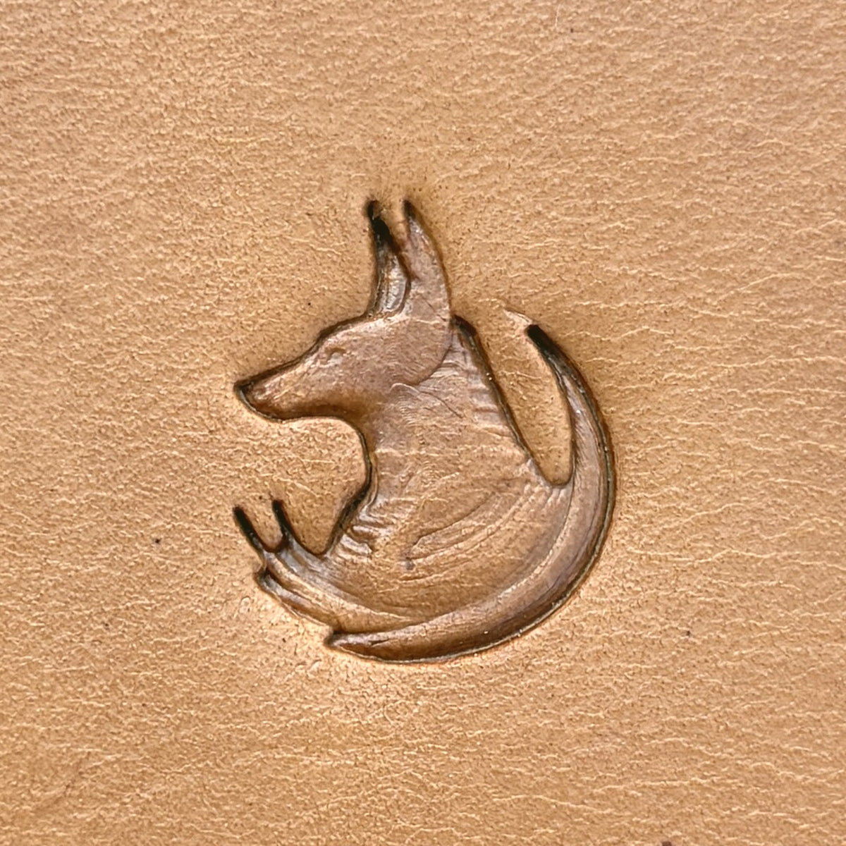 Stylized Jackal leather stamp LT666 — pattern imprint on veg-tan leather