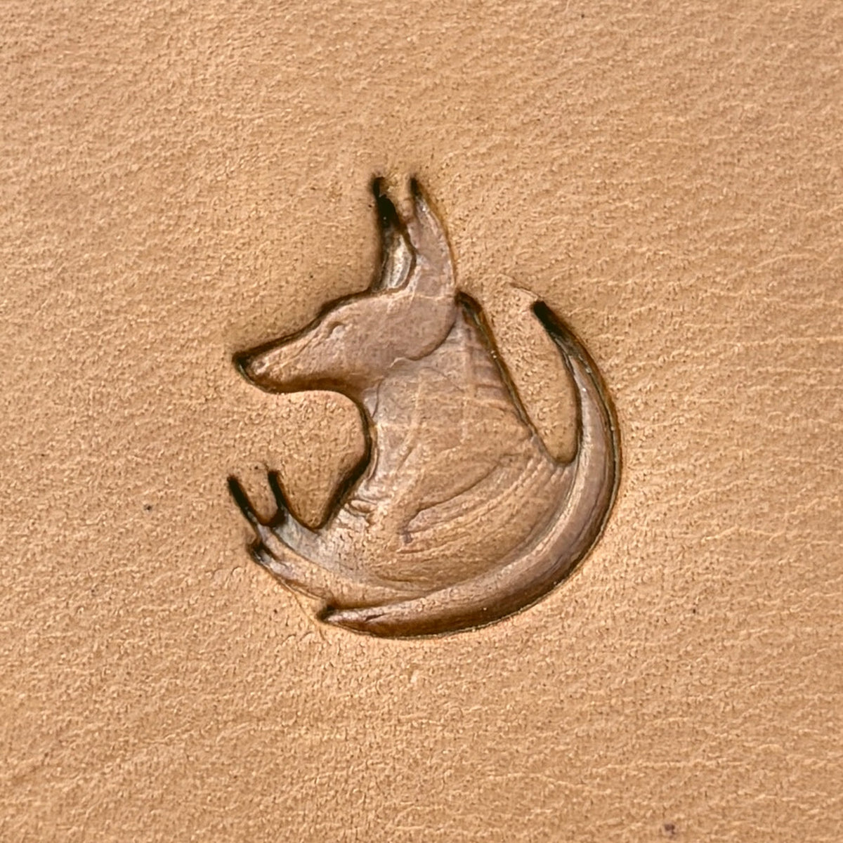 Stylized Jackal leather stamp LT666 — single impression on veg-tan leather