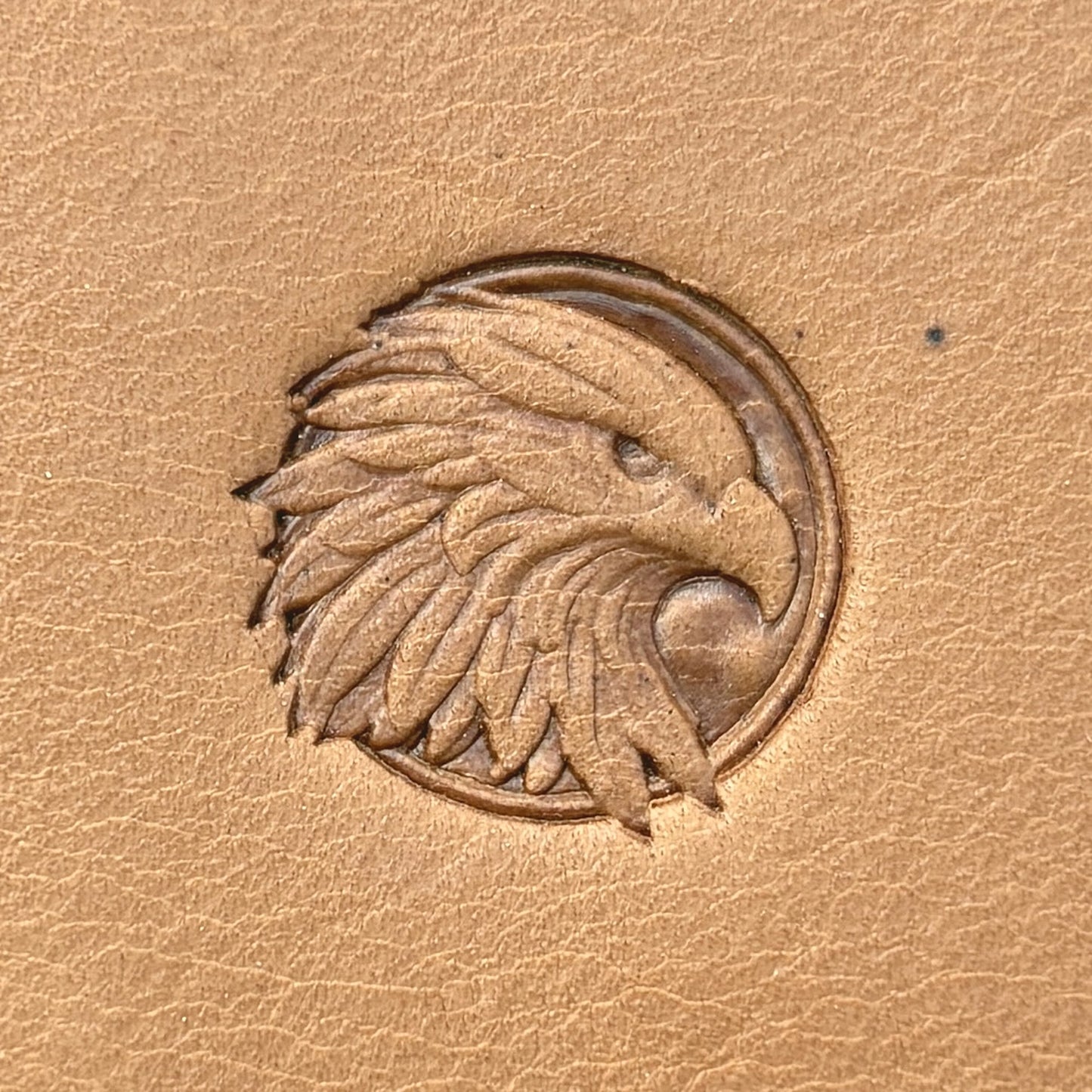 Feathery Crest Eagle leather stamp LT670 — single impression on veg-tan leather