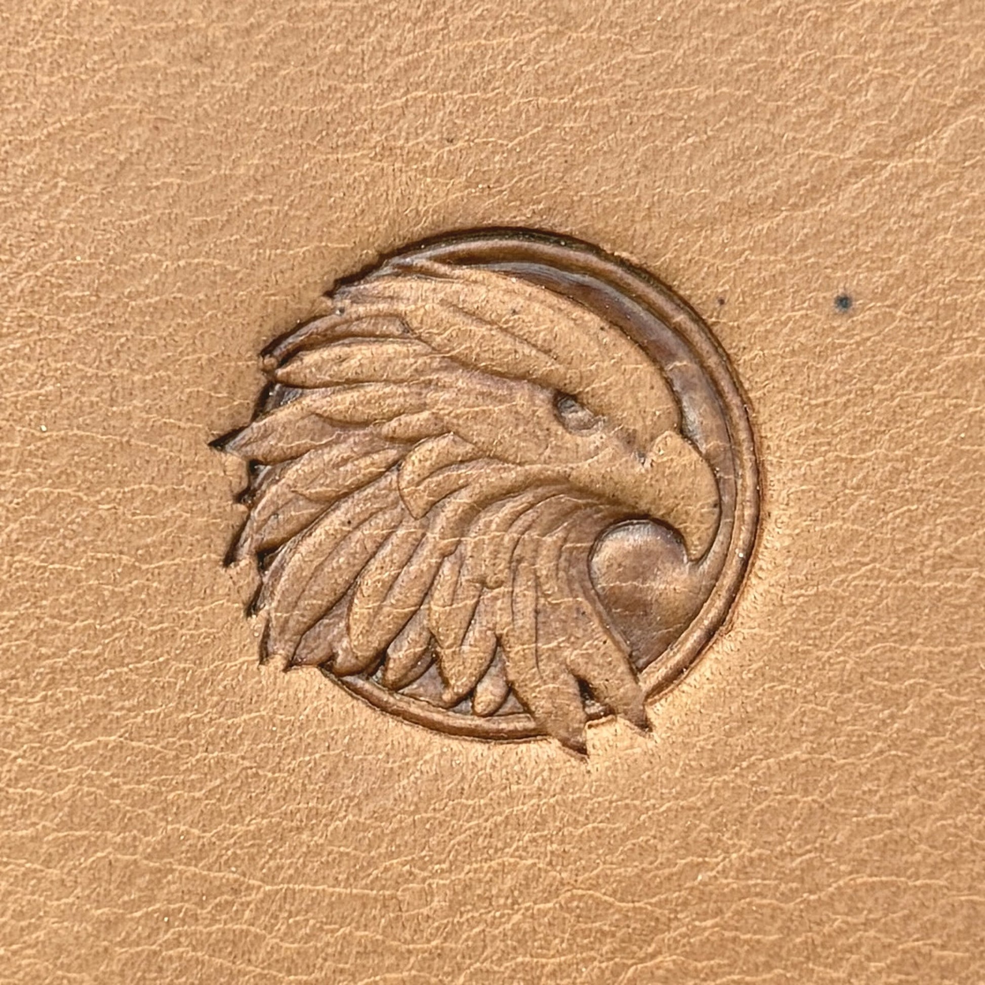 Feathery Crest Eagle leather stamp LT670 — single impression on veg-tan leather