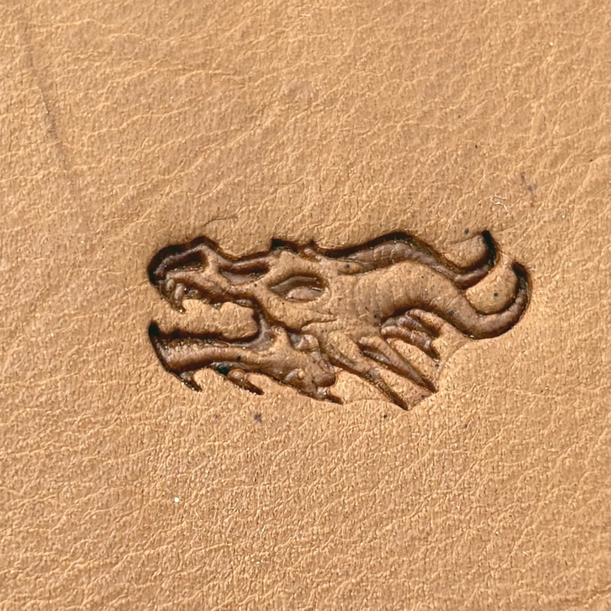 Skull Dragon leather stamp LT671 — single impression on veg-tan leather