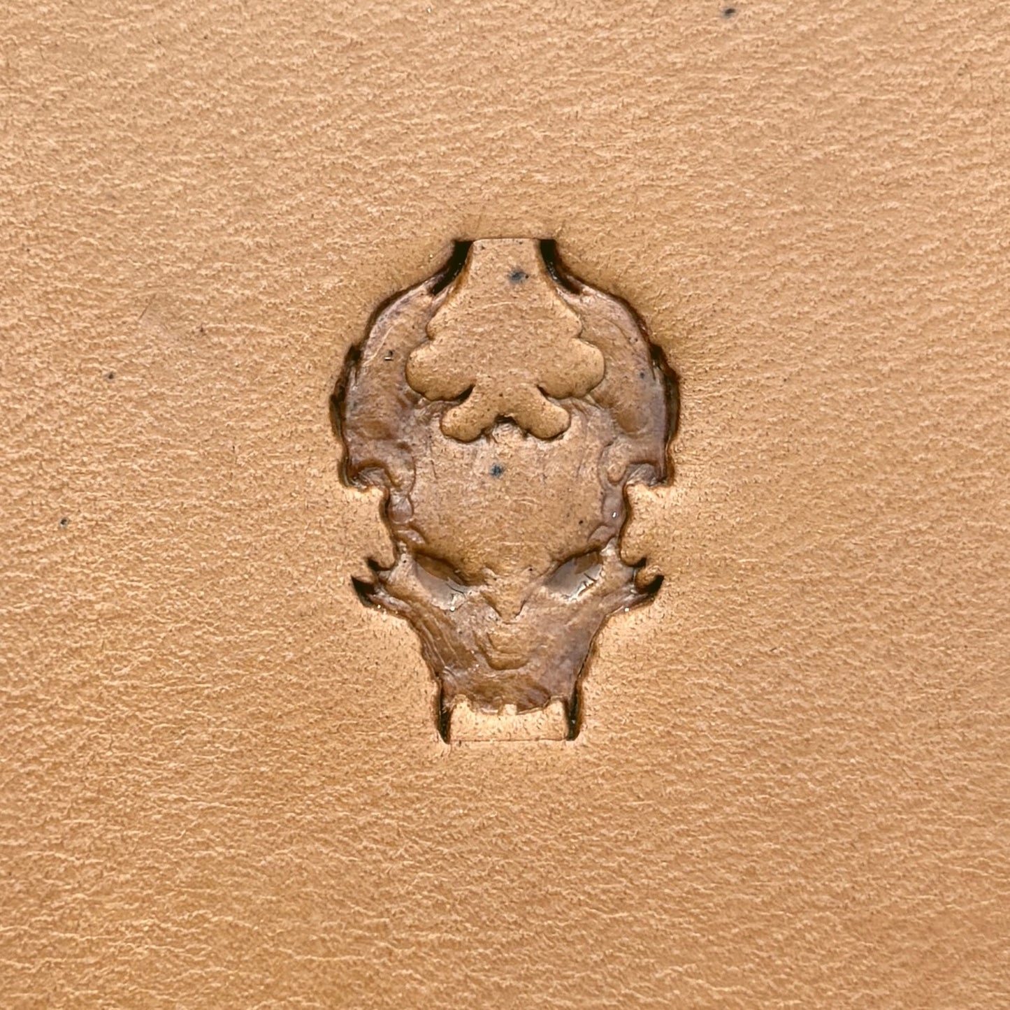 Skull Outline Dragon leather stamp LT674 — single impression on veg-tan leather