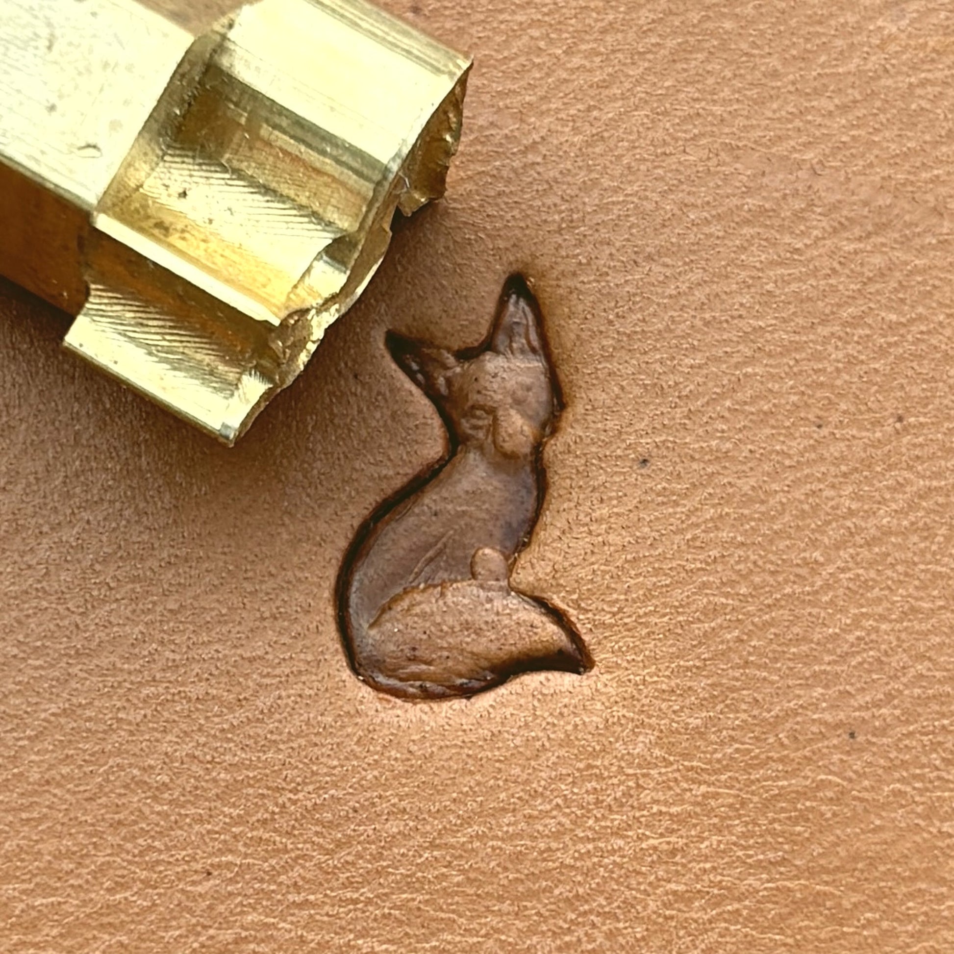 Sitting Fox leather stamp LT675 — brass stamping tool with imprint on natural veg-tan leather