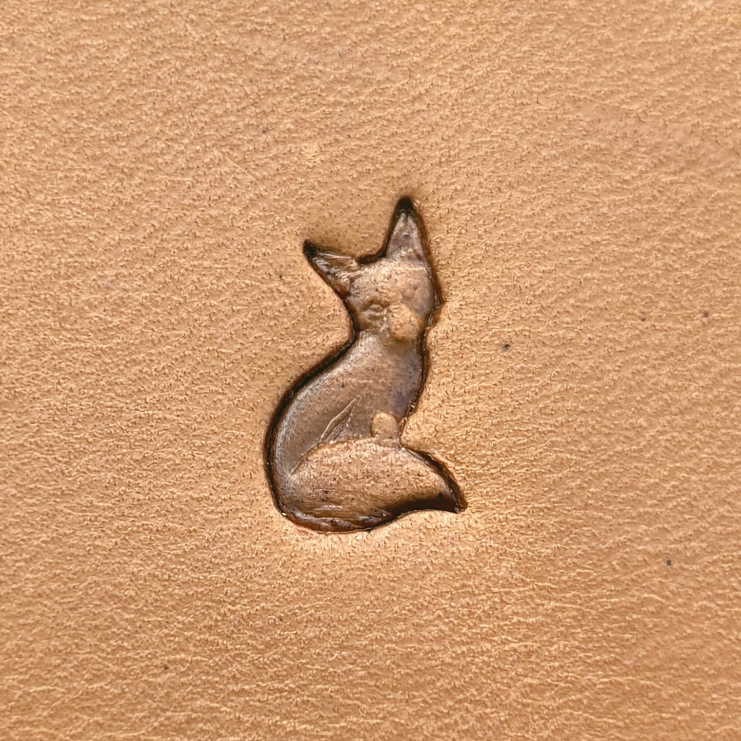 Sitting Fox leather stamp LT675 — single impression on veg-tan leather