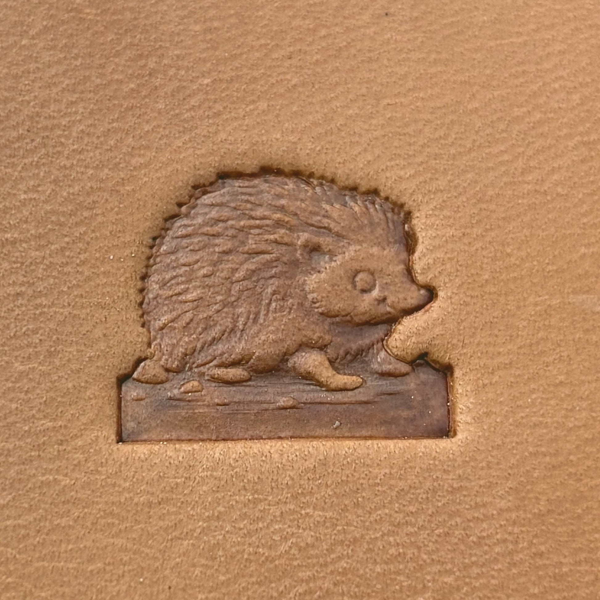 Cute Hedgehog leather stamp LT686 — single impression on veg-tan leather