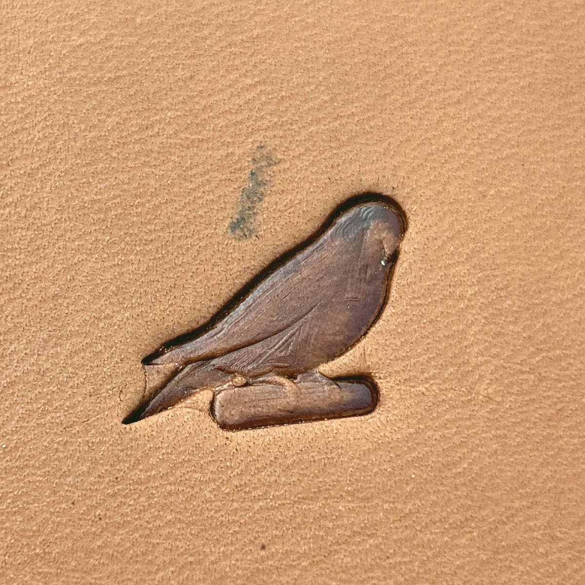 Parrot leather stamp LT687 — pattern imprint on veg-tan leather