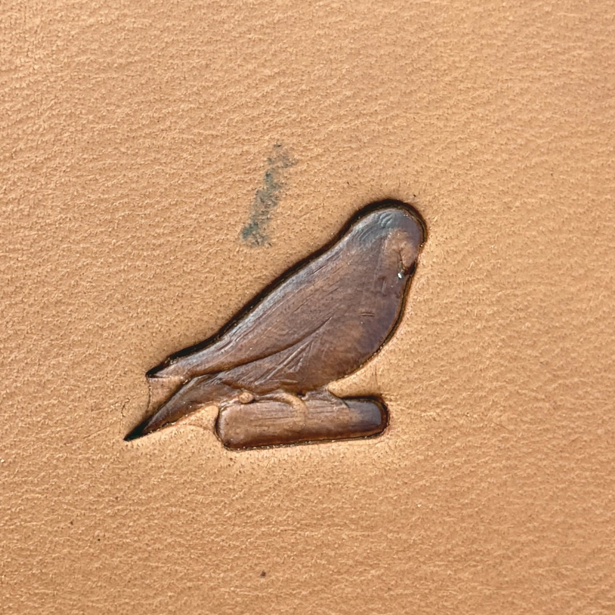 Parrot leather stamp LT687 — single impression on veg-tan leather