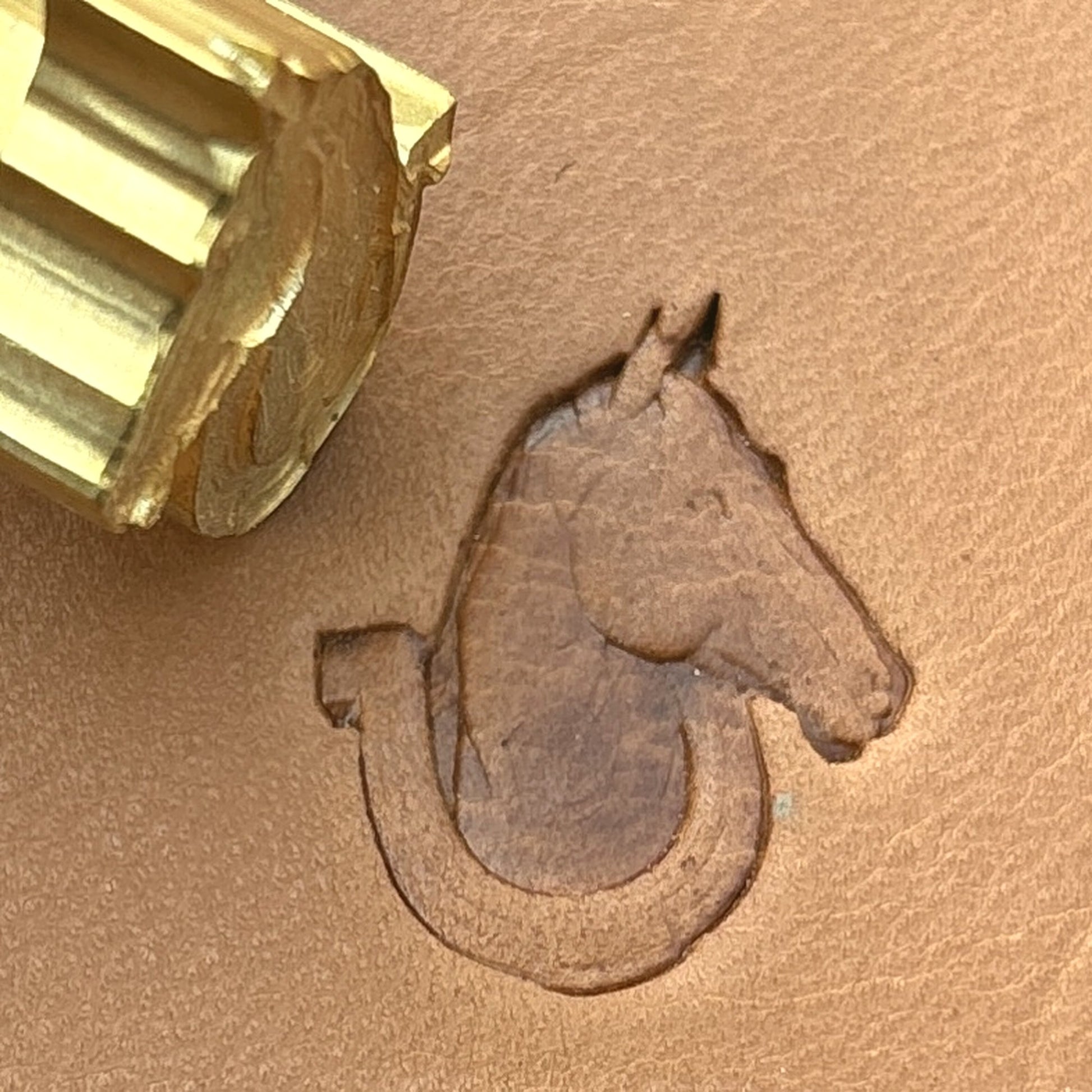 LT691 Horse leather stamp LT691 — brass stamping tool with imprint on natural veg-tan leather