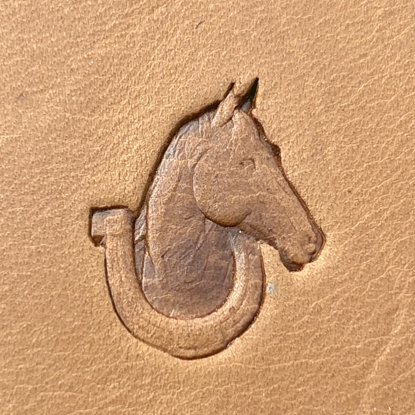 LT691 Horse leather stamp LT691 — pattern imprint on veg-tan leather