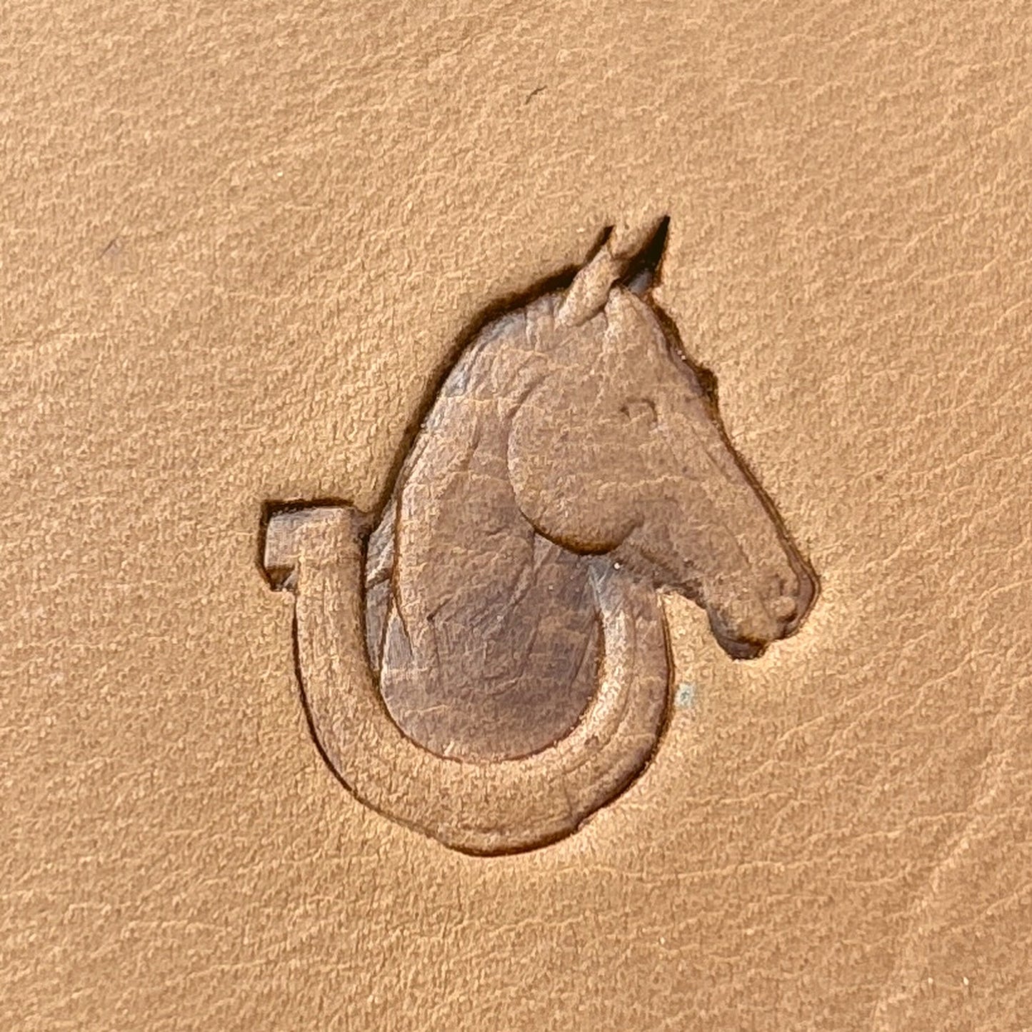 LT691 Horse leather stamp LT691 — single impression on veg-tan leather