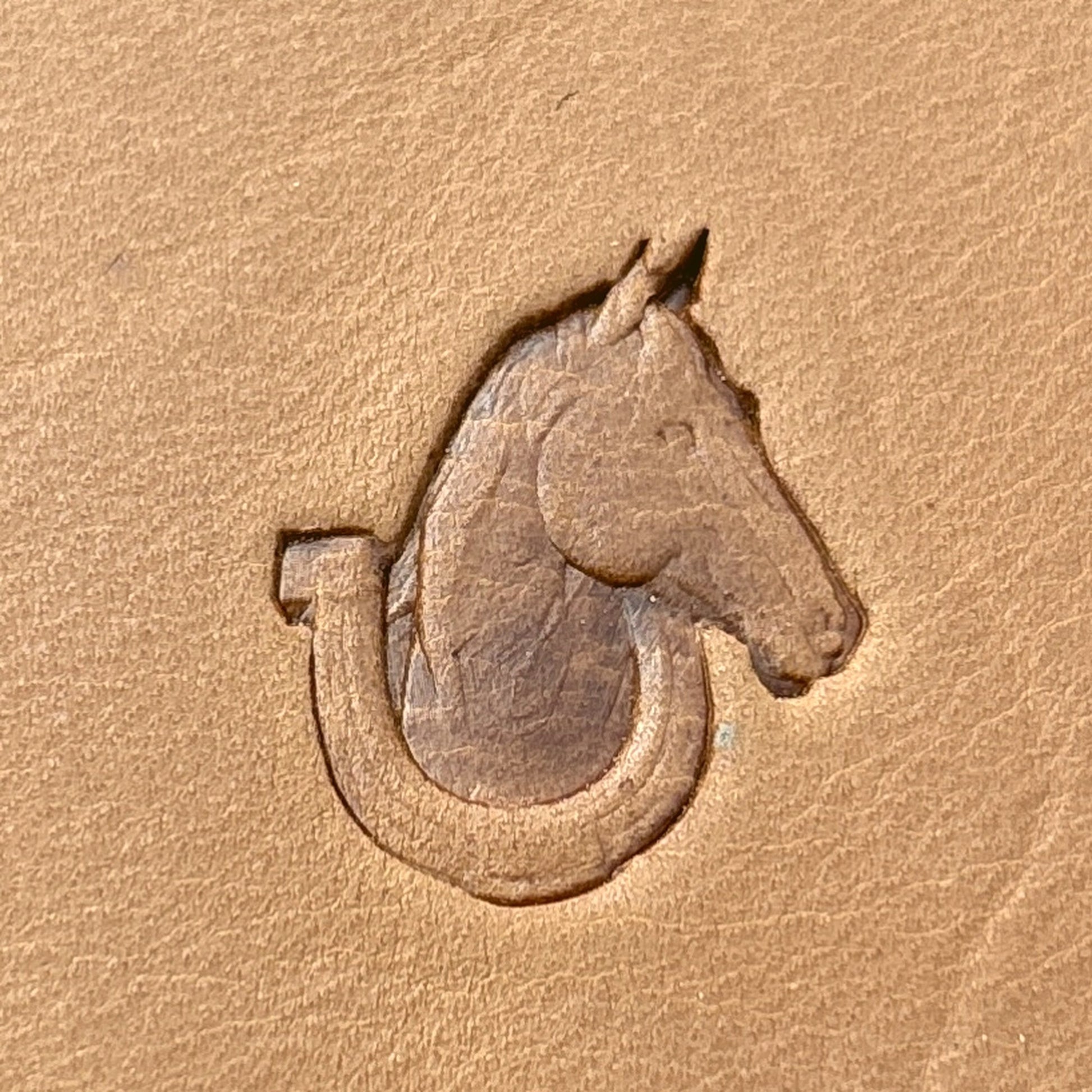 LT691 Horse leather stamp LT691 — single impression on veg-tan leather