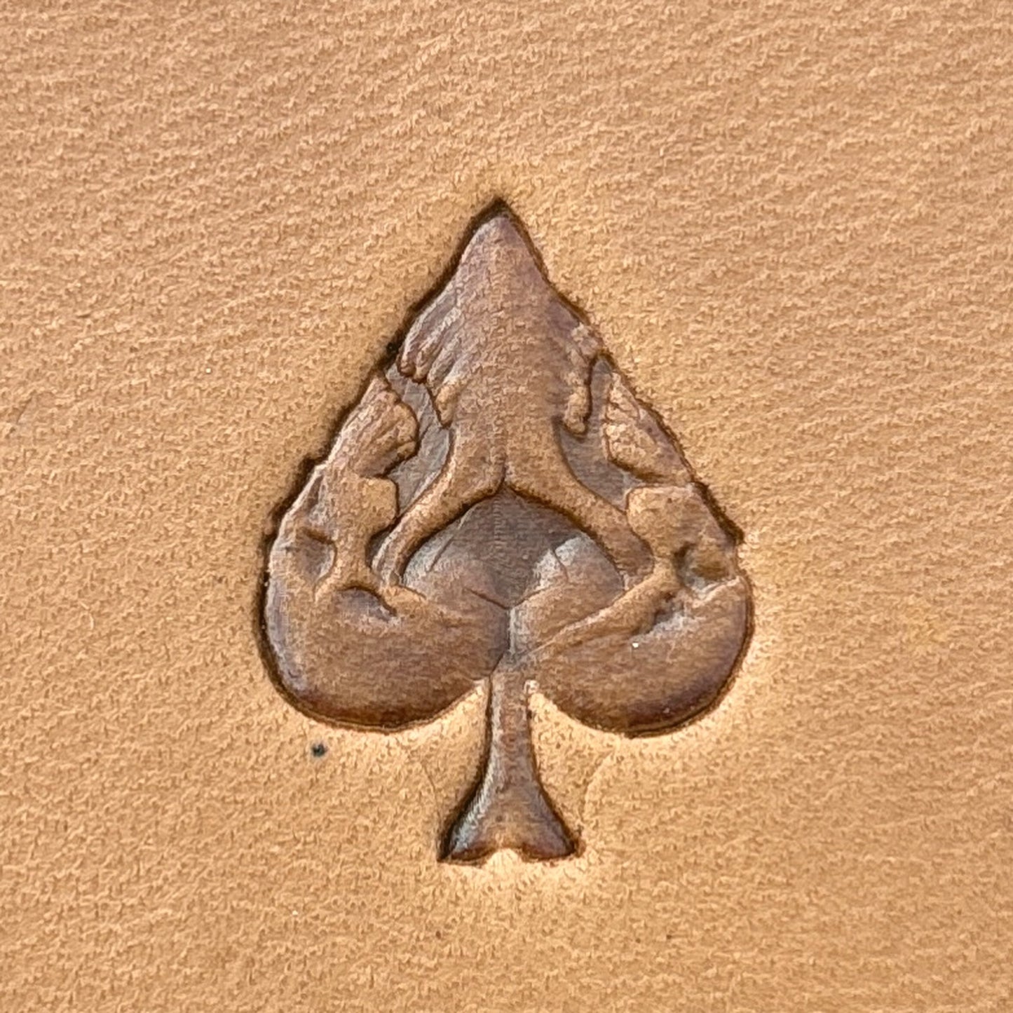 Leaf Textured leather stamp LT694 — single impression on veg-tan leather