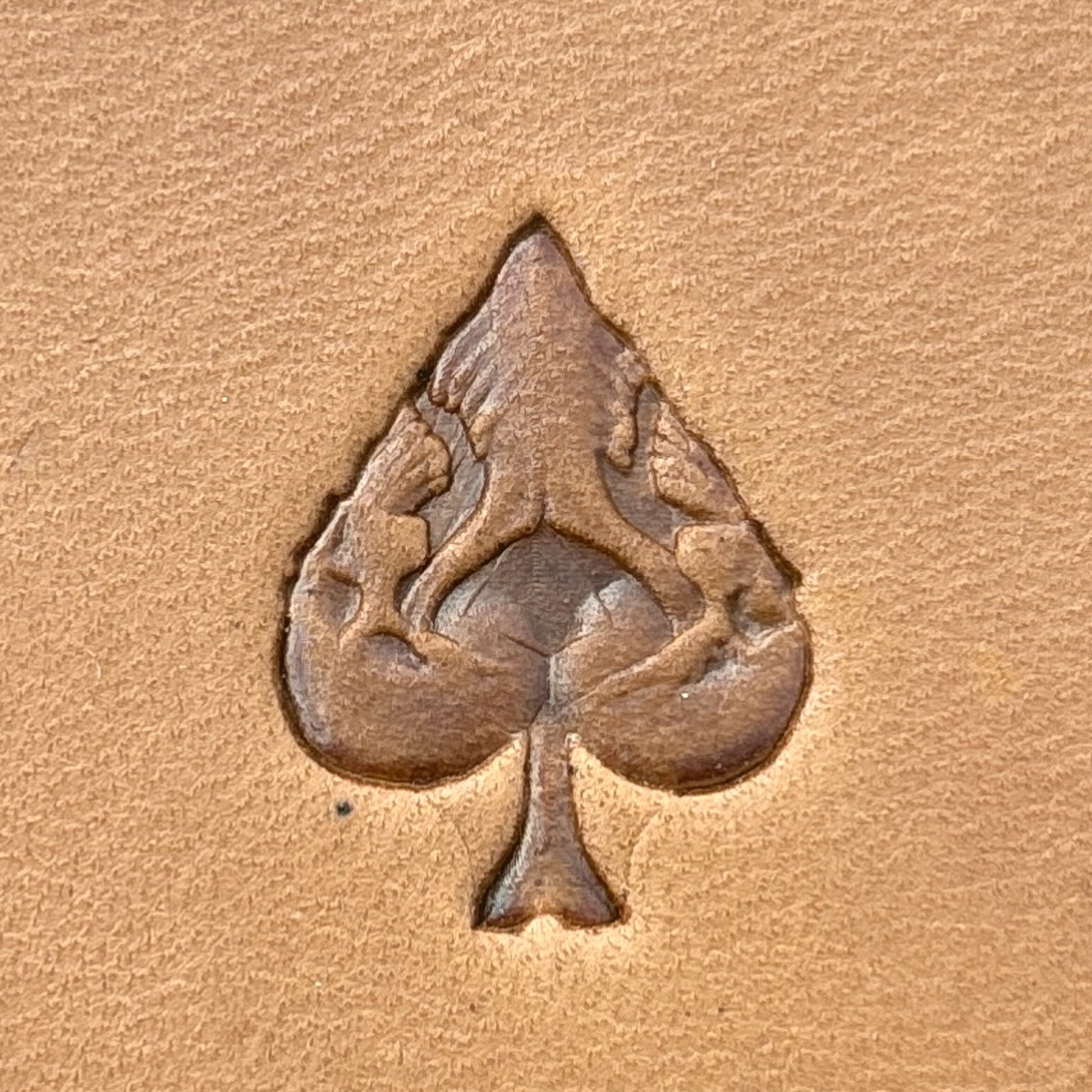 Leaf Textured leather stamp LT694 — single impression on veg-tan leather