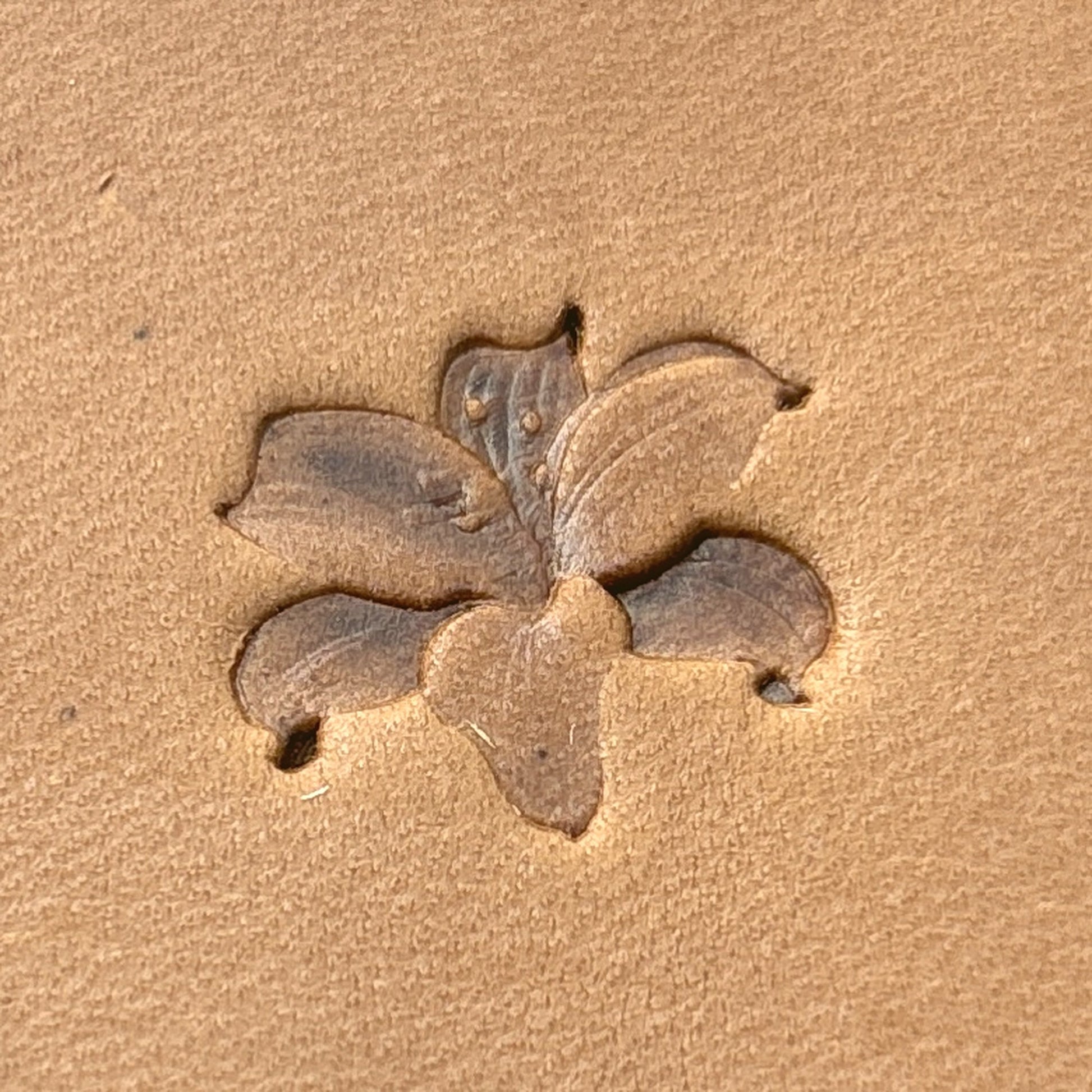Lily Blossom Flower leather stamp LT698 — pattern imprint on veg-tan leather