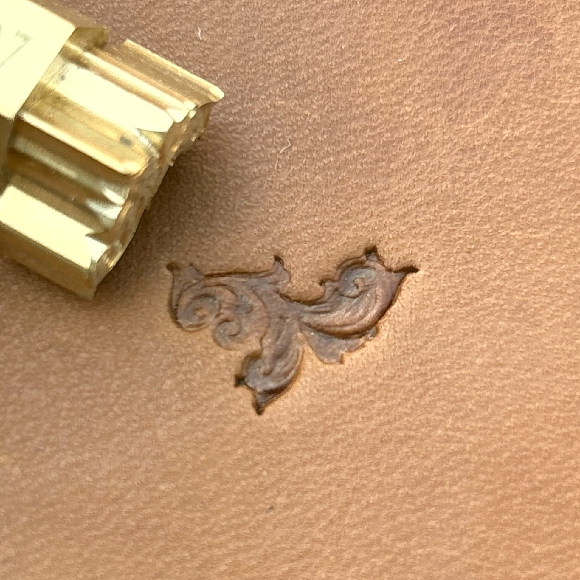 Ornate Scroll Flower leather stamp LT707 — brass stamping tool with imprint on natural veg-tan leather